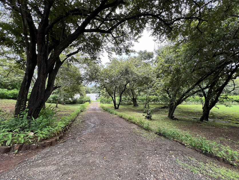 4 bed Single Family Homes For Sale in Playa Potrero, Guanacaste - thumb 18