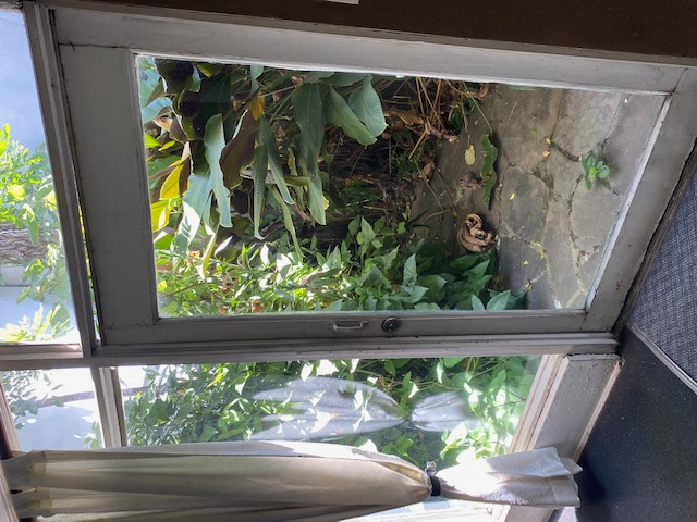 3 bed Single Family Homes For Sale in Tibas, San Jose - thumb 9