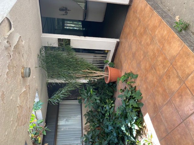 3 bed Single Family Homes For Sale in Tibas, San Jose - thumb 1