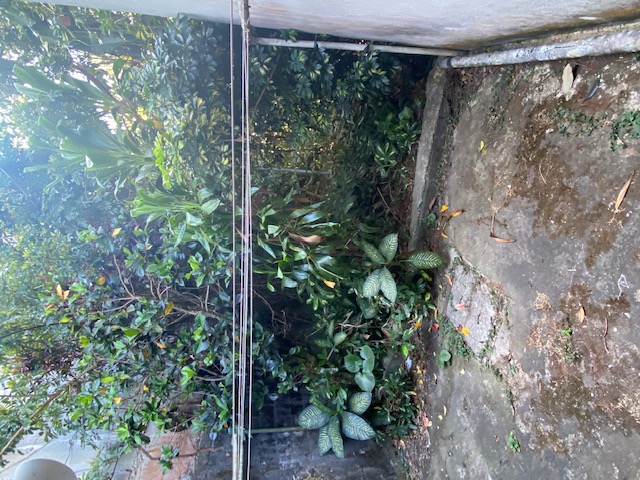 3 bed Single Family Homes For Sale in Tibas, San Jose - thumb 15