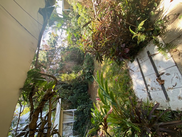 3 bed Single Family Homes For Sale in Tibas, San Jose - thumb 16