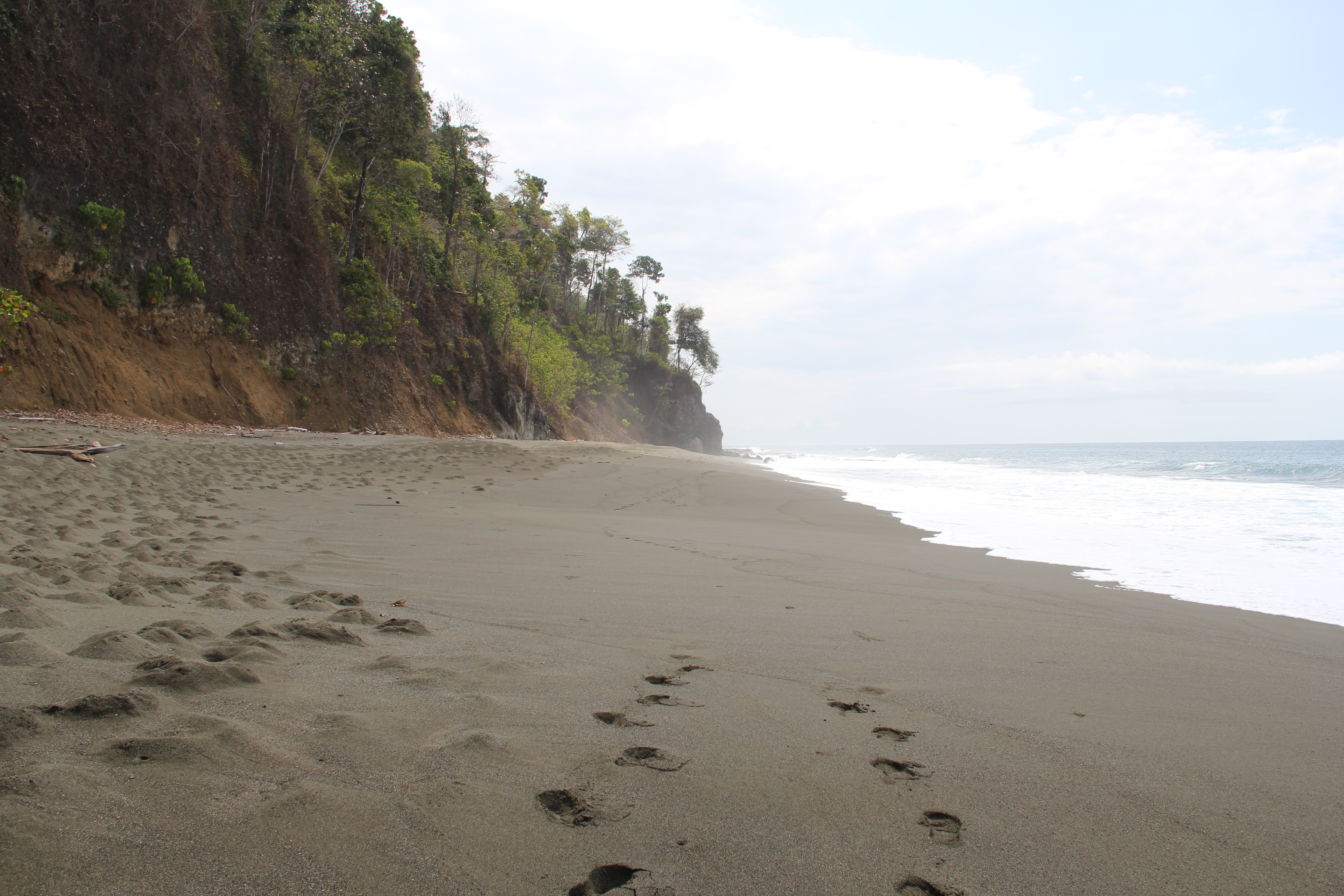 0 bed Communities For Sale in Cabo Matapalo, Puntarenas - thumb 5