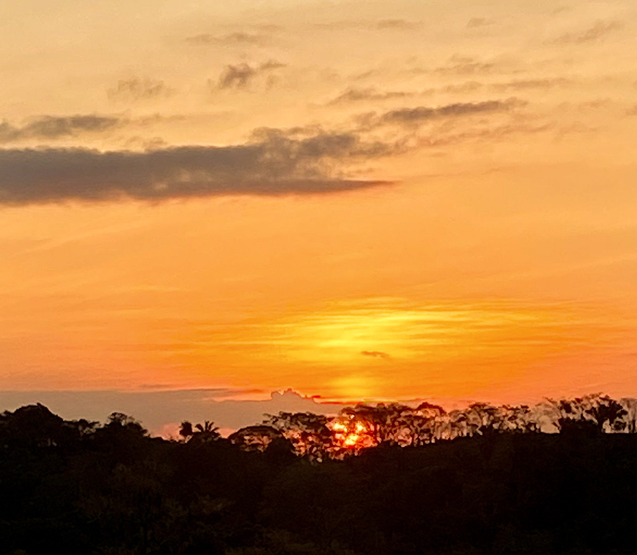 0 bed Land For Sale in Cabuya, Puntarenas - thumb 7