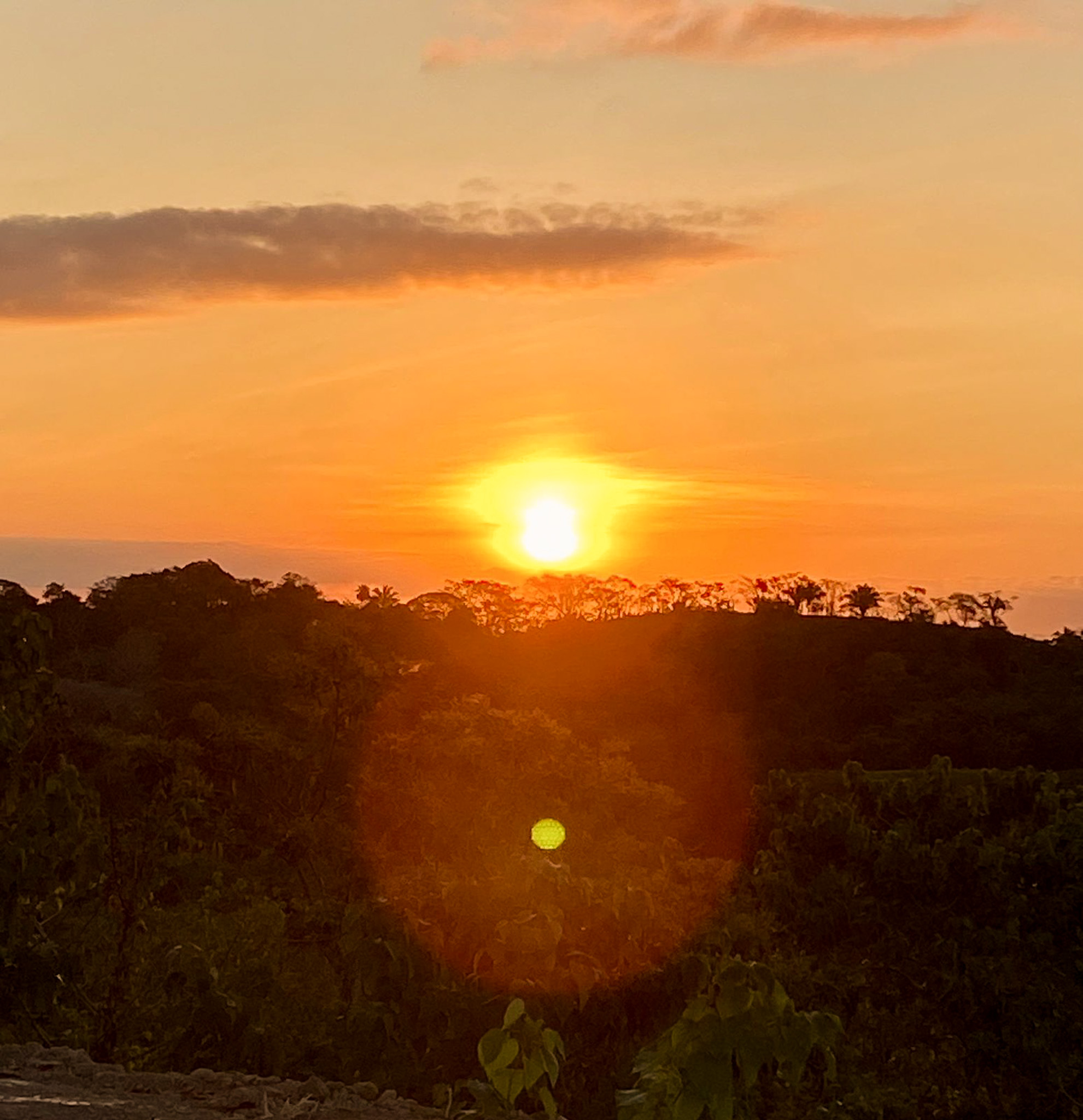 0 bed Land For Sale in Cabuya, Puntarenas - thumb 10