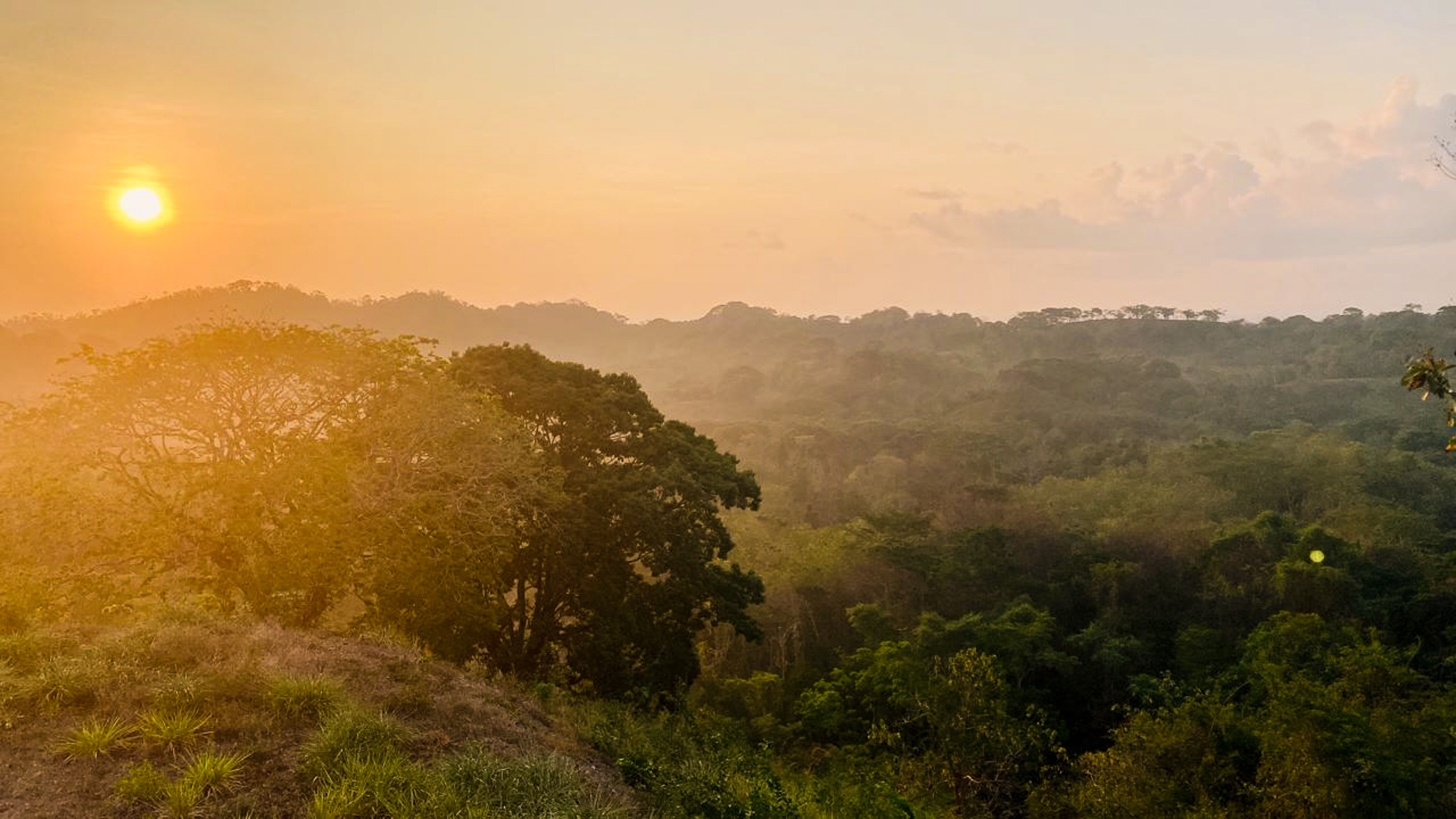 0 bed Land For Sale in Cabuya, Puntarenas - thumb 6