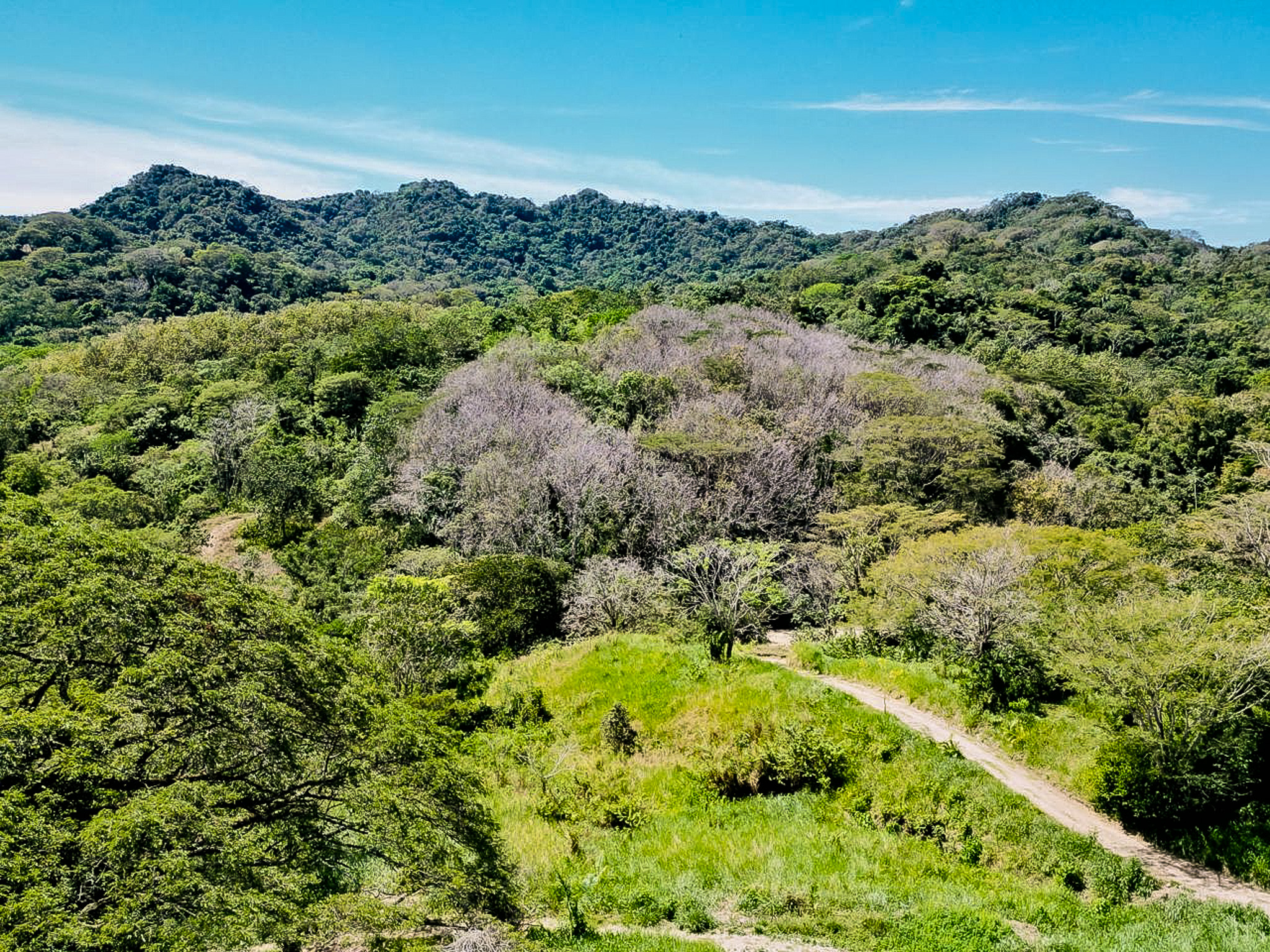 0 bed Land For Sale in Cabuya, Puntarenas - thumb 4