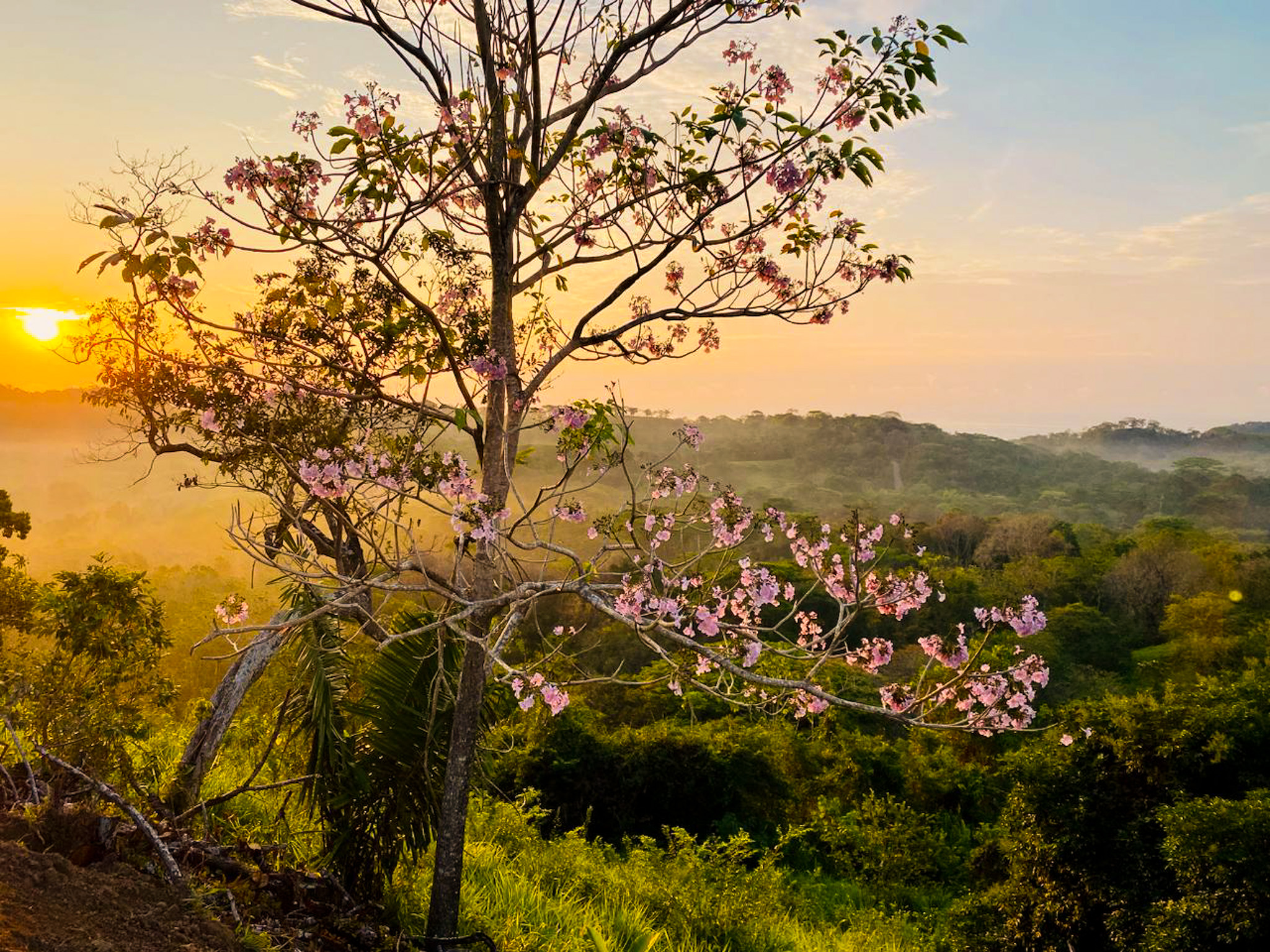 0 bed Land For Sale in Cabuya, Puntarenas - thumb 8