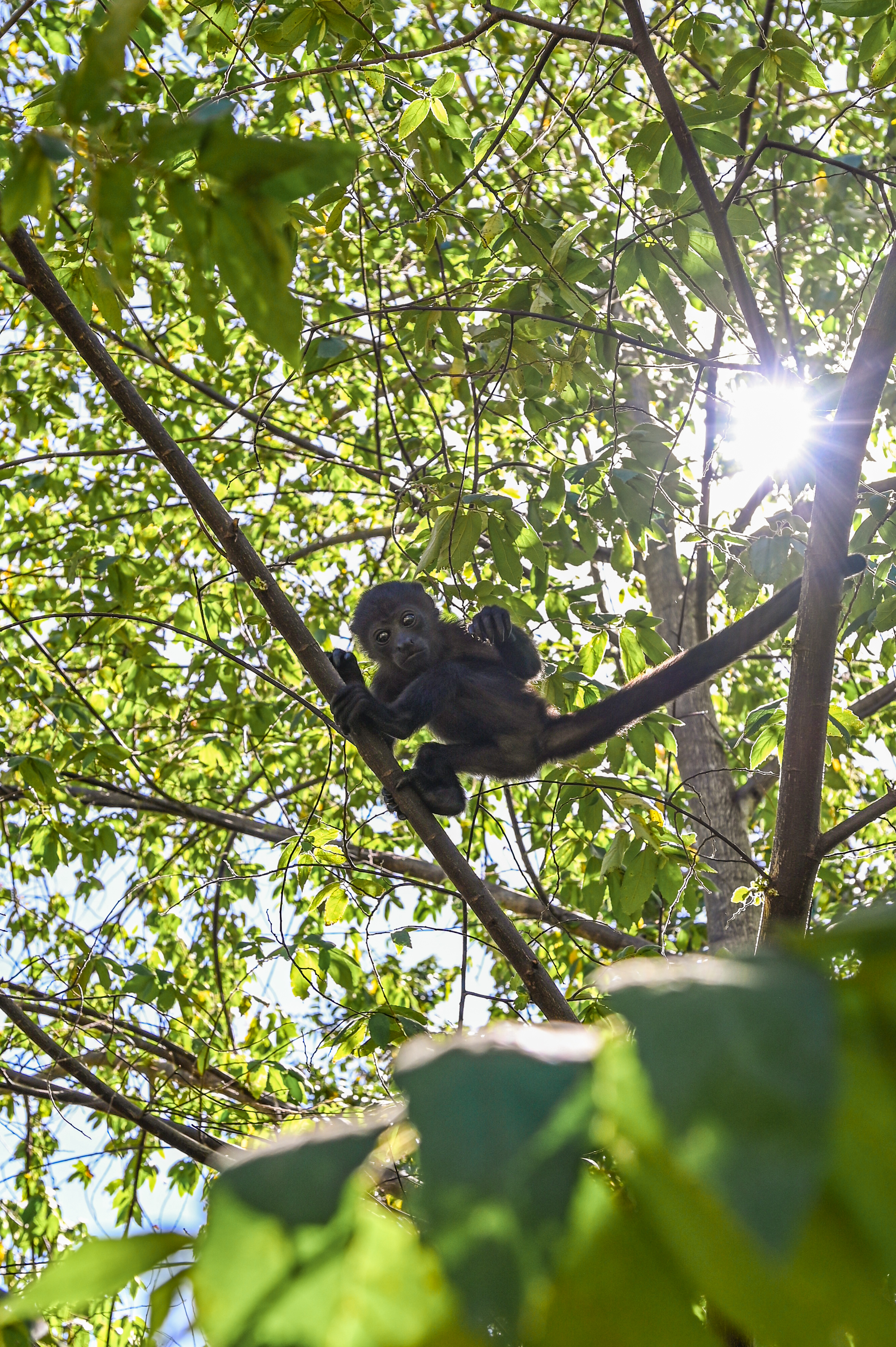 2 bed Single Family Homes For Sale in Tamarindo, Guanacaste - thumb 22