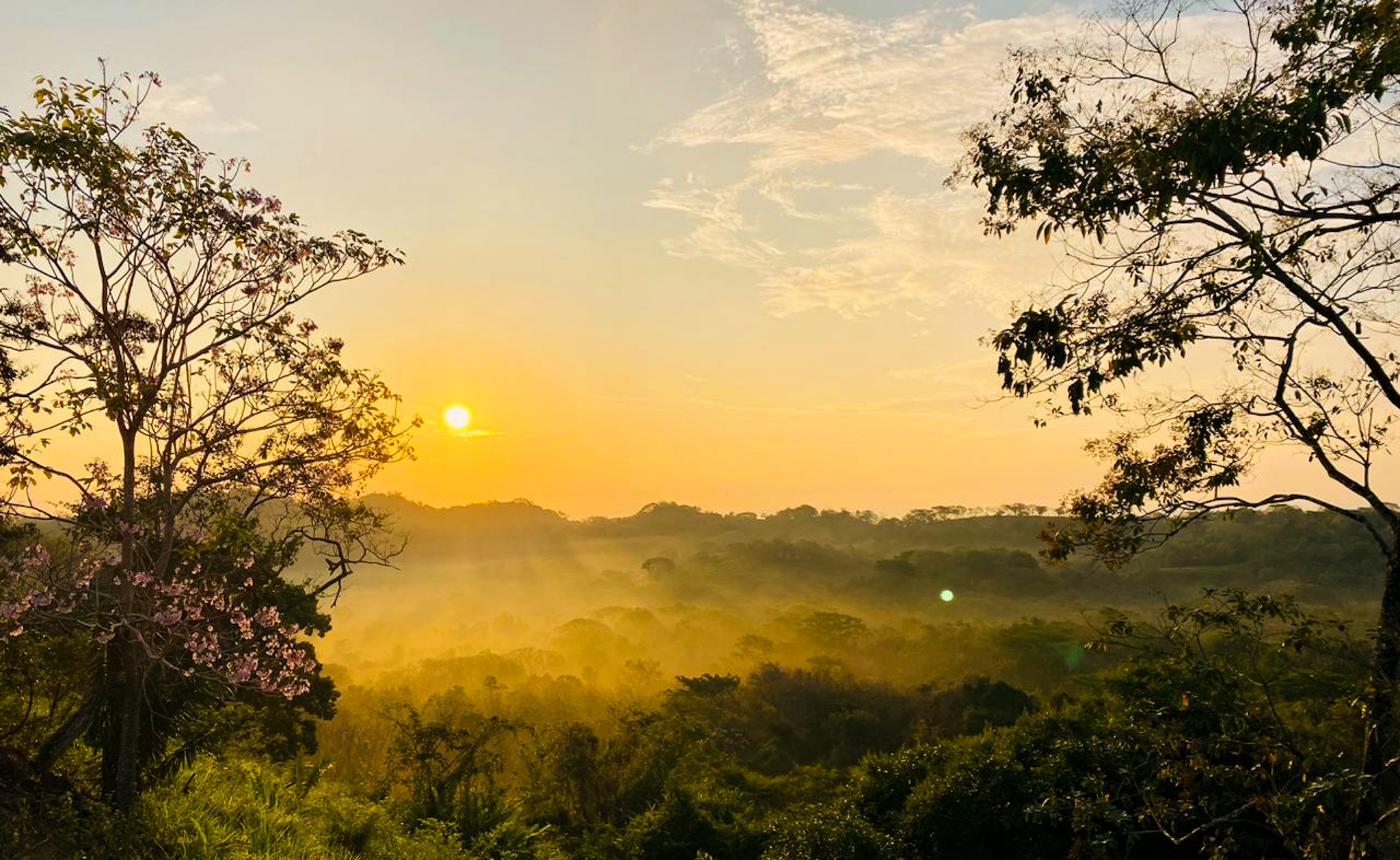 0 bed Land For Sale in Cabuya, Puntarenas - thumb 4