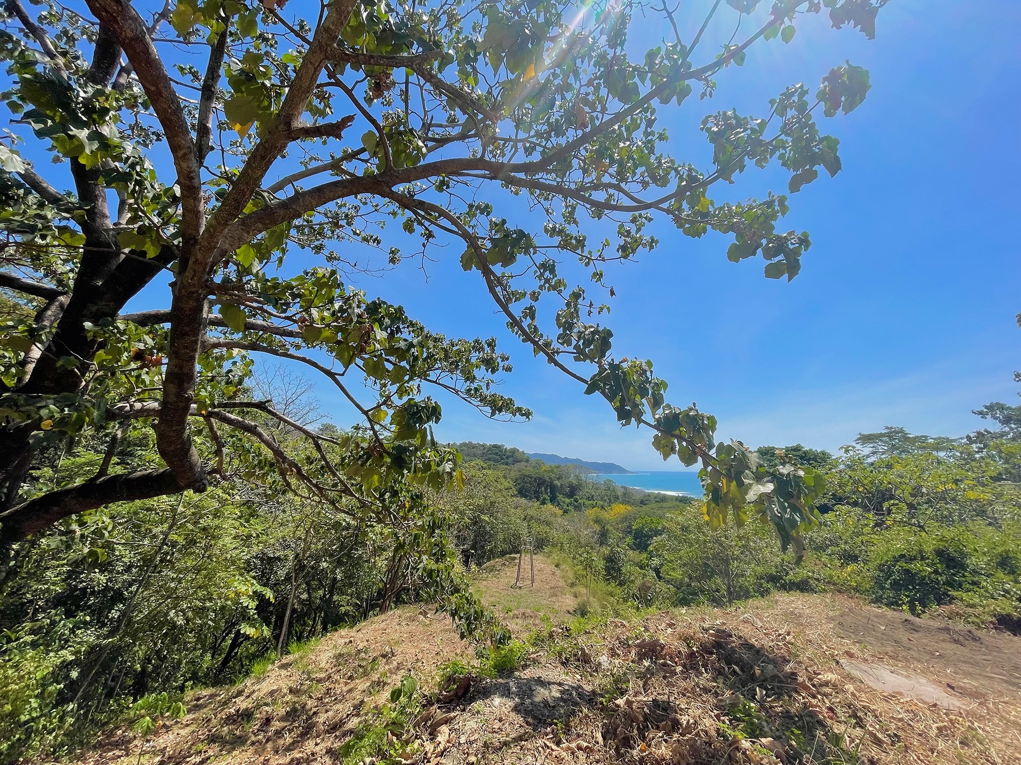 0 bed Land For Sale in Santa Teresa, Puntarenas - thumb 6