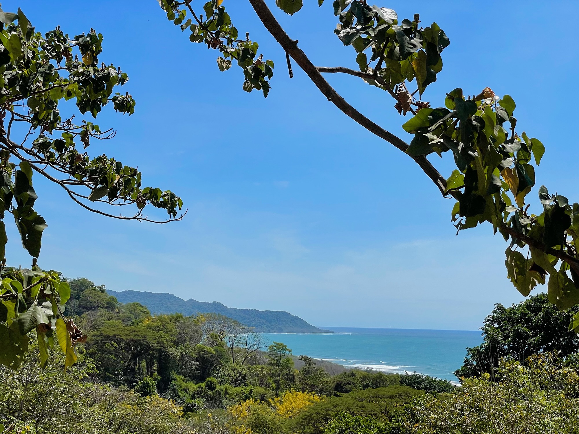 0 bed Land For Sale in Santa Teresa, Puntarenas - thumb 7