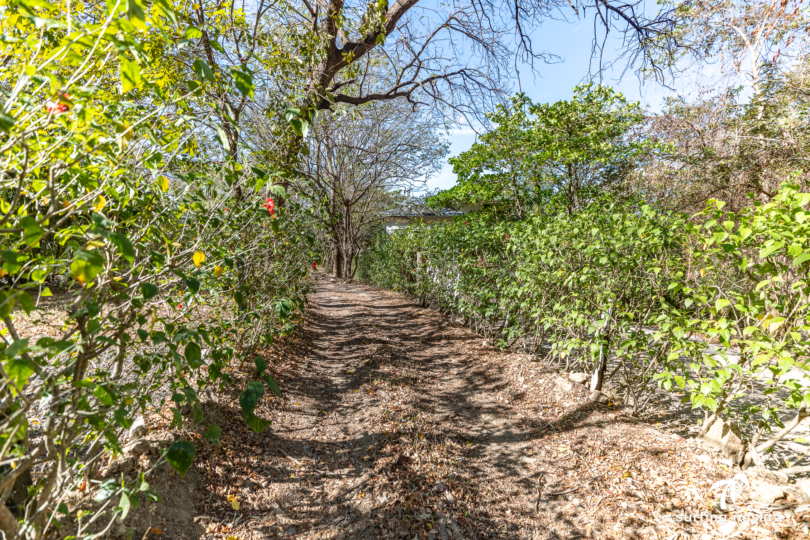 0 bed Land For Sale in Nosara, Guanacaste - thumb 2