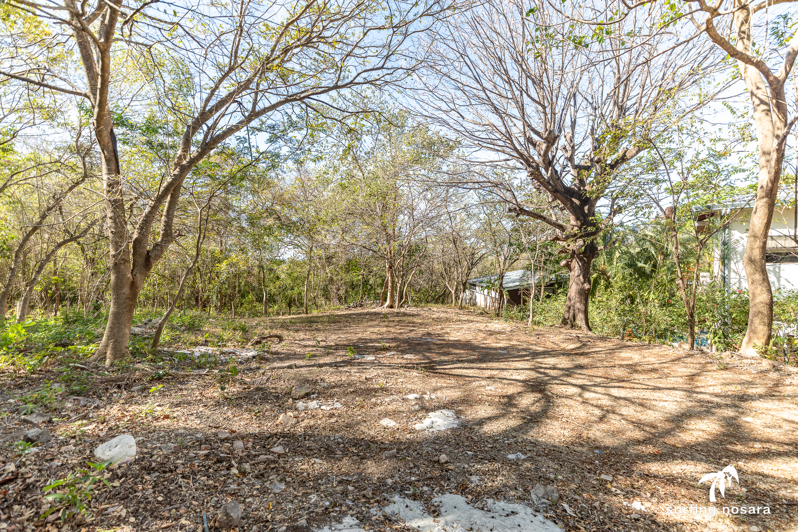 0 bed Land For Sale in Nosara, Guanacaste - thumb 1