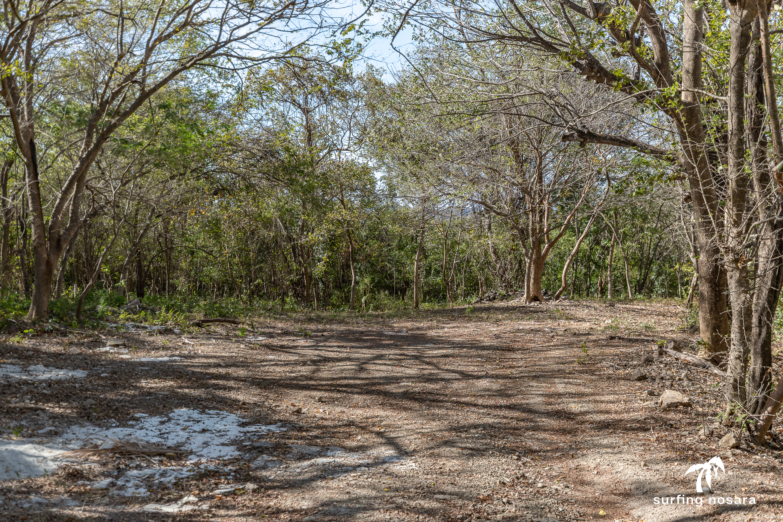 0 bed Land For Sale in Nosara, Guanacaste - thumb 3