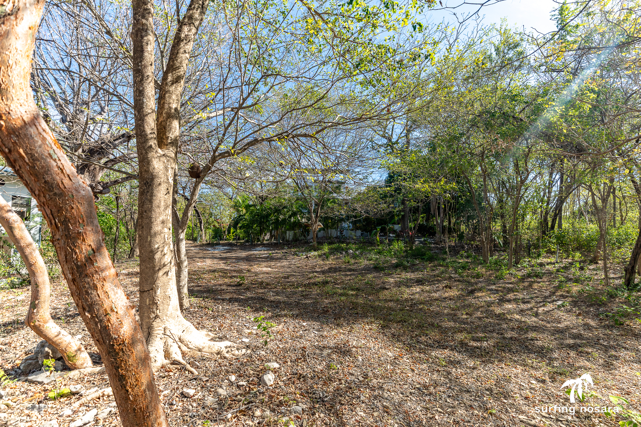 0 bed Land For Sale in Nosara, Guanacaste - thumb 6