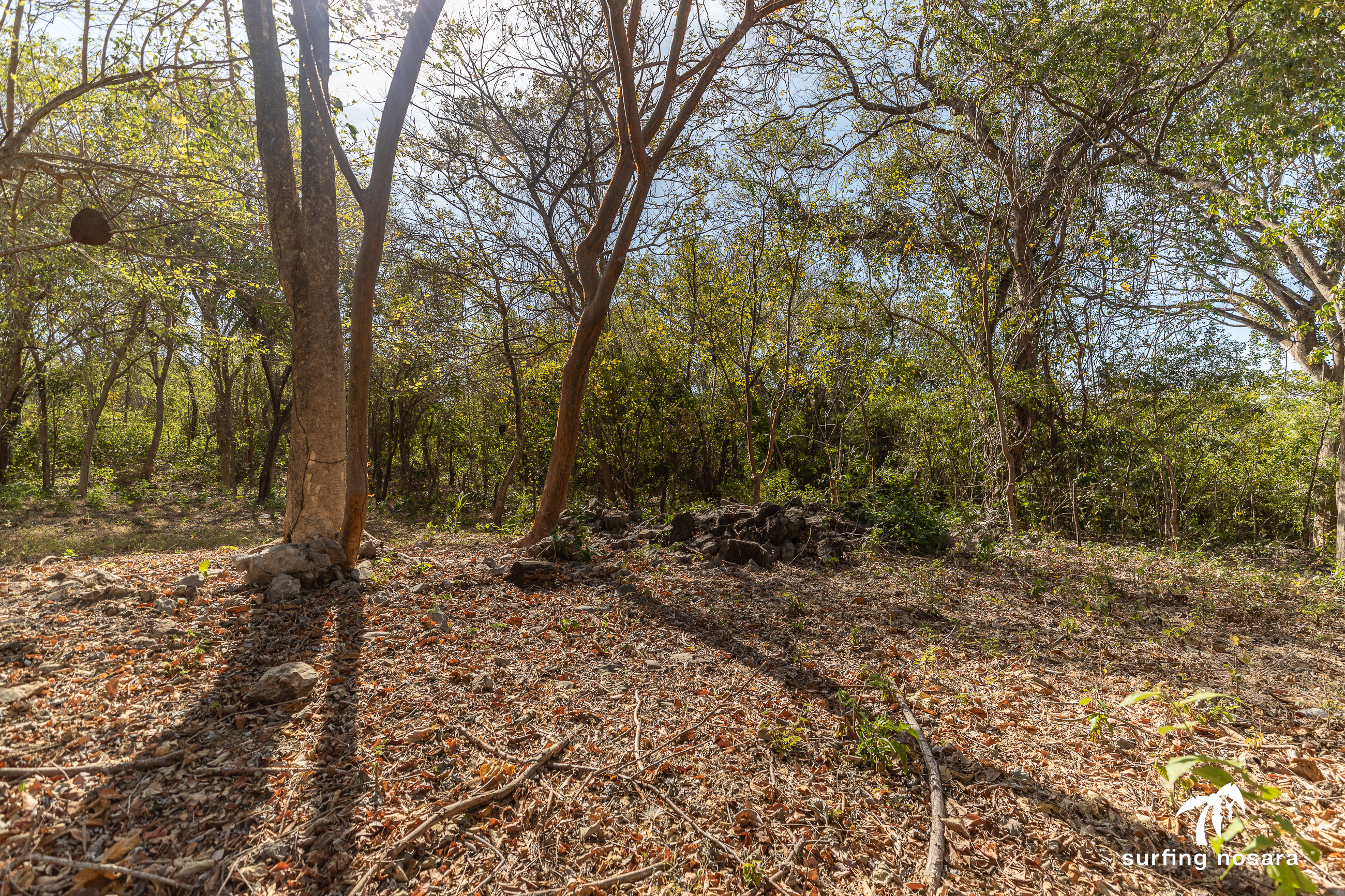 0 bed Land For Sale in Nosara, Guanacaste - thumb 10