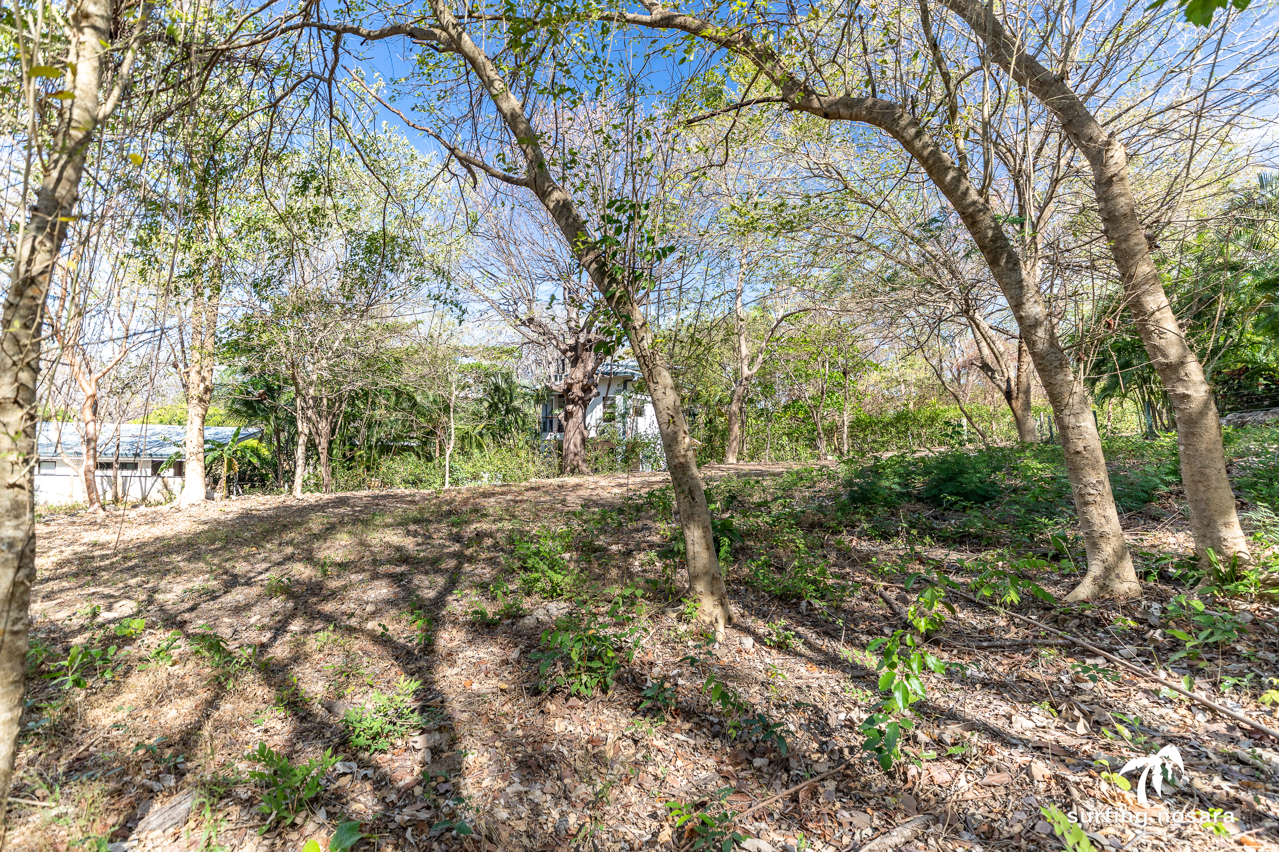 0 bed Land For Sale in Nosara, Guanacaste - thumb 5