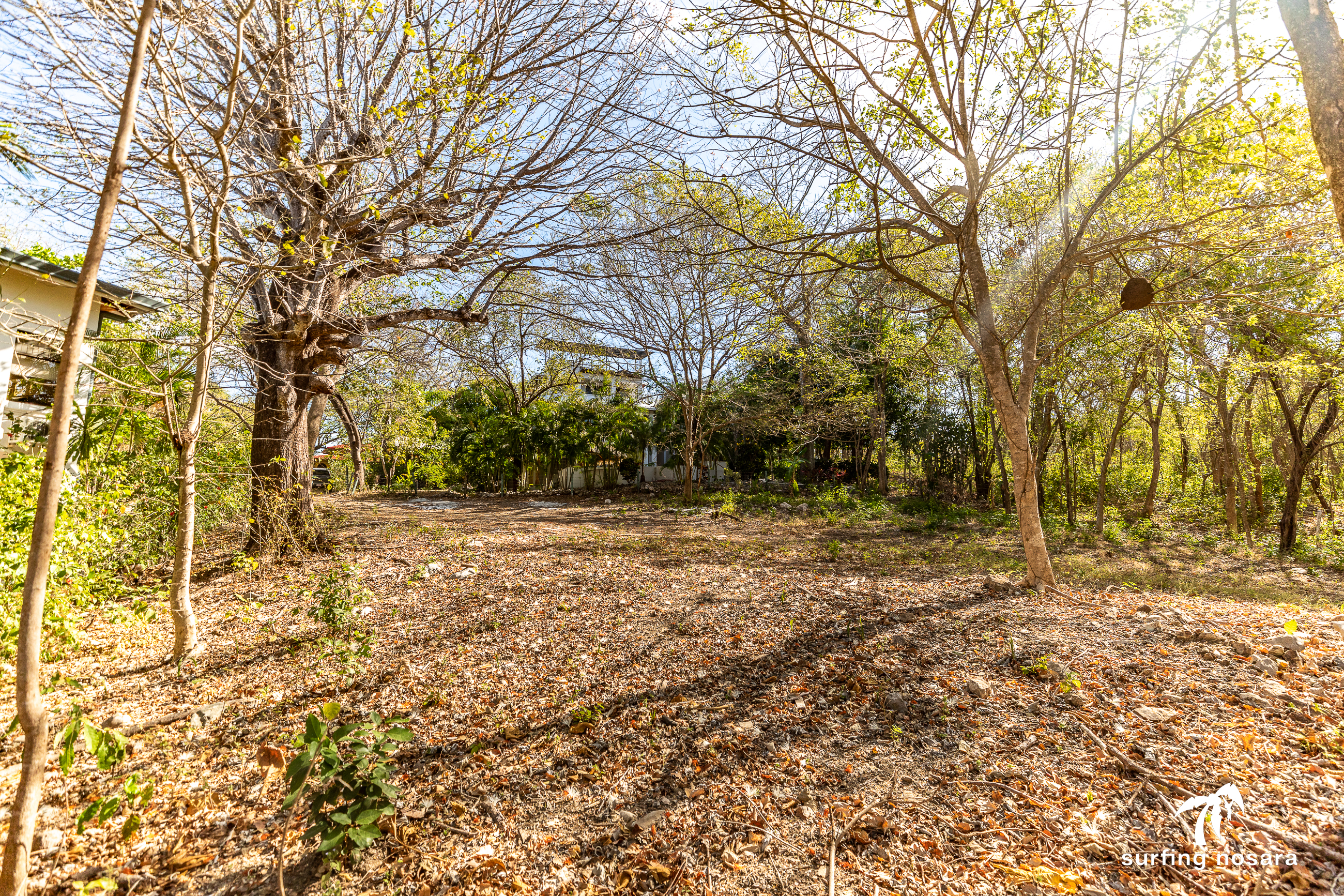 0 bed Land For Sale in Nosara, Guanacaste - thumb 9