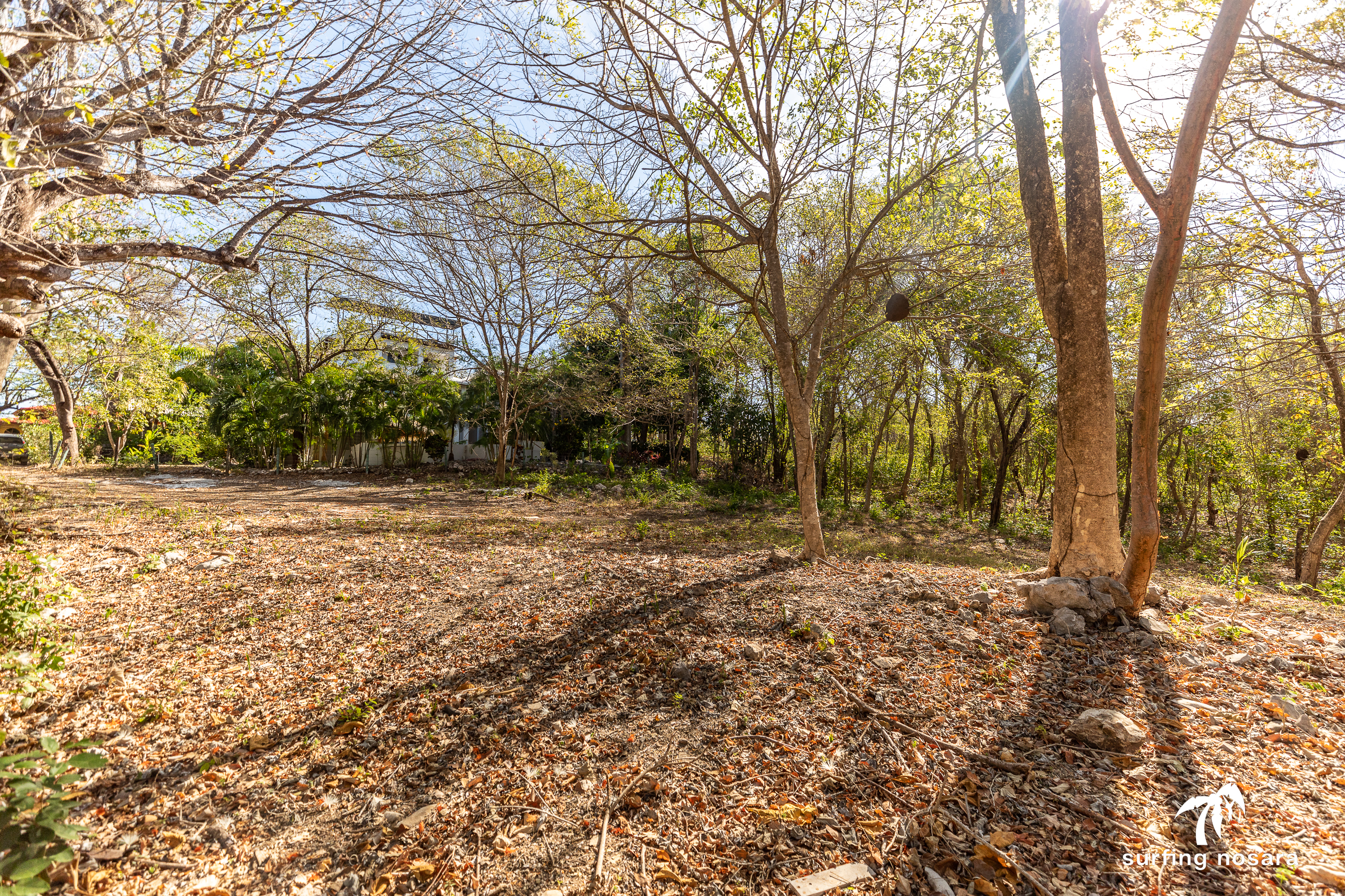 0 bed Land For Sale in Nosara, Guanacaste - thumb 8