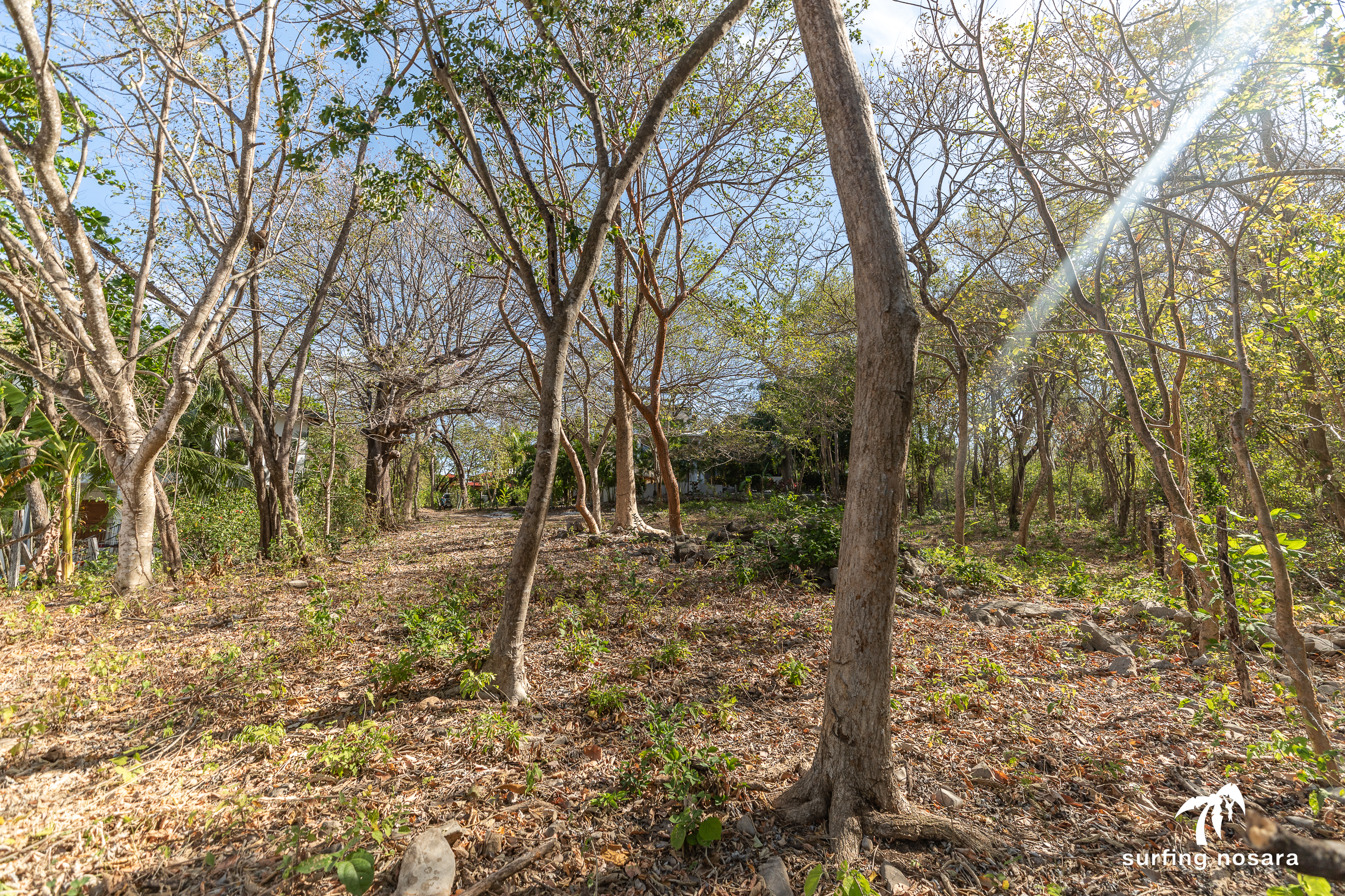 0 bed Land For Sale in Nosara, Guanacaste - thumb 11