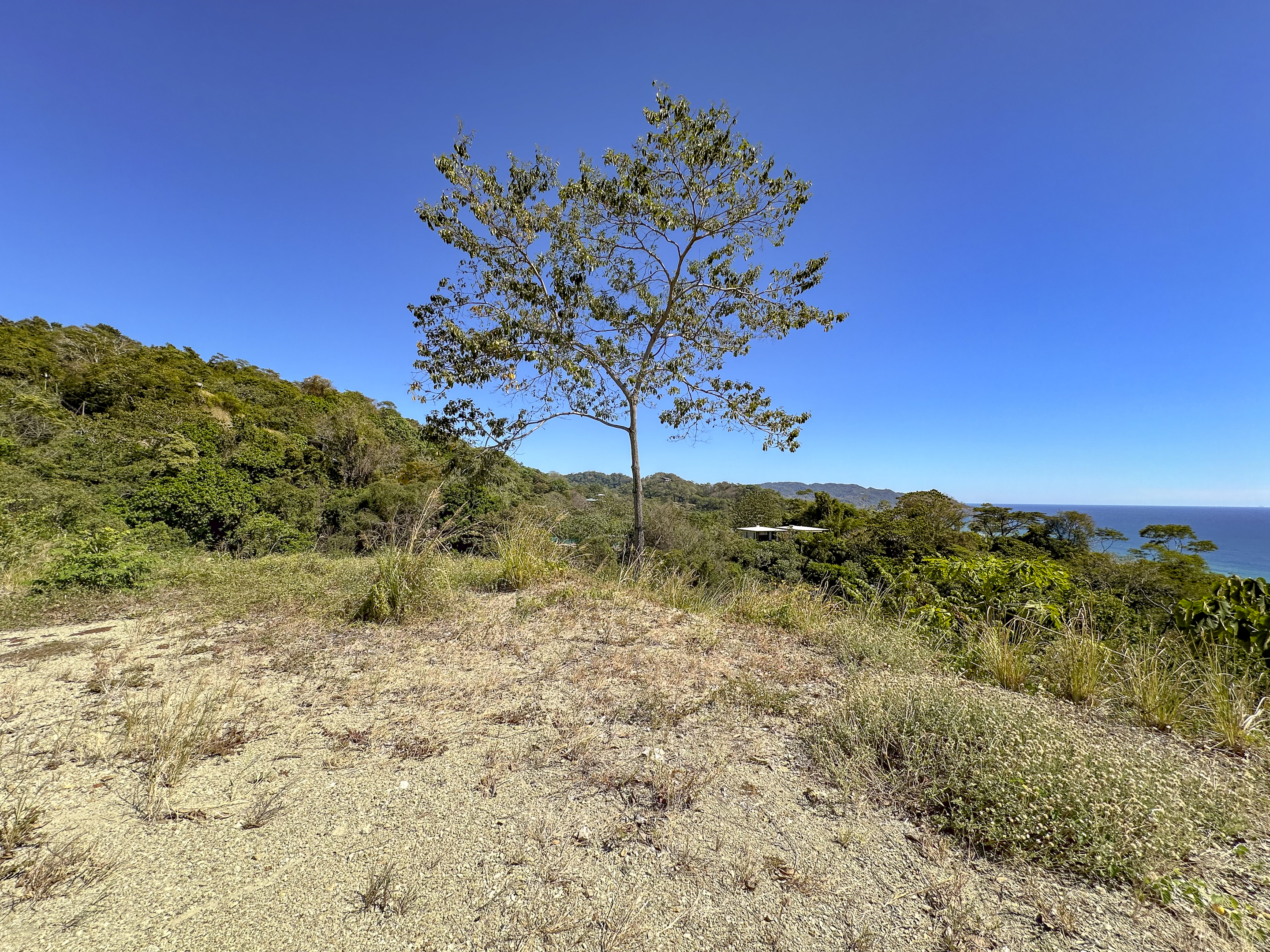 0 bed Land For Sale in Santa Teresa, Puntarenas - thumb 10