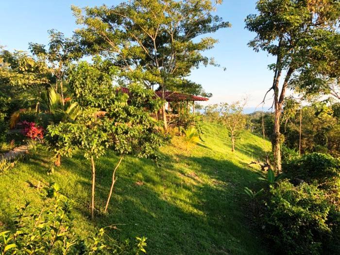 5 bed Commercial For Sale in Delicias, Puntarenas - thumb 4