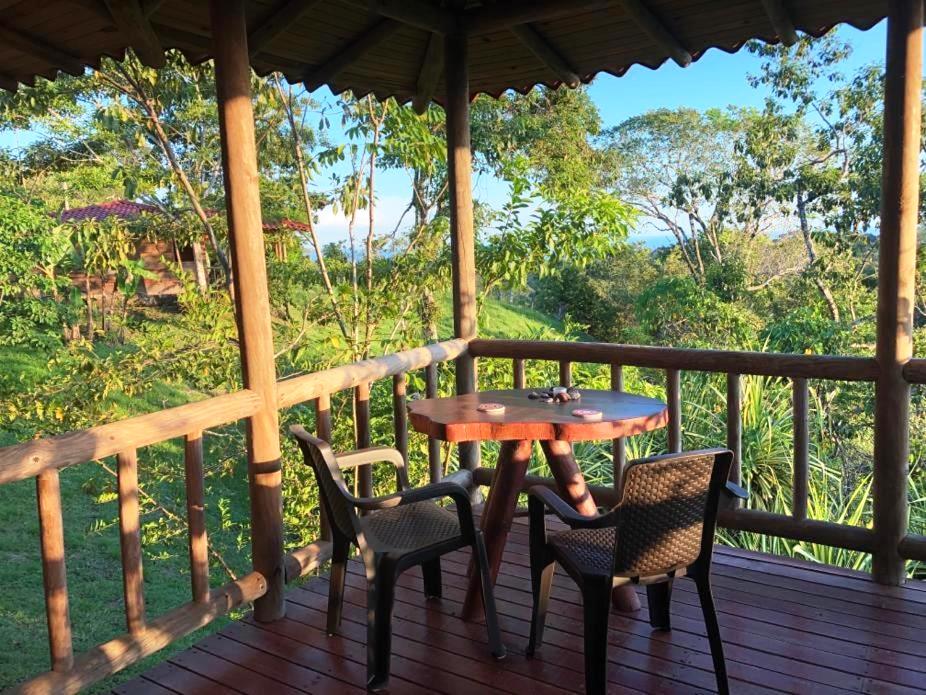 5 bed Commercial For Sale in Delicias, Puntarenas - thumb 6