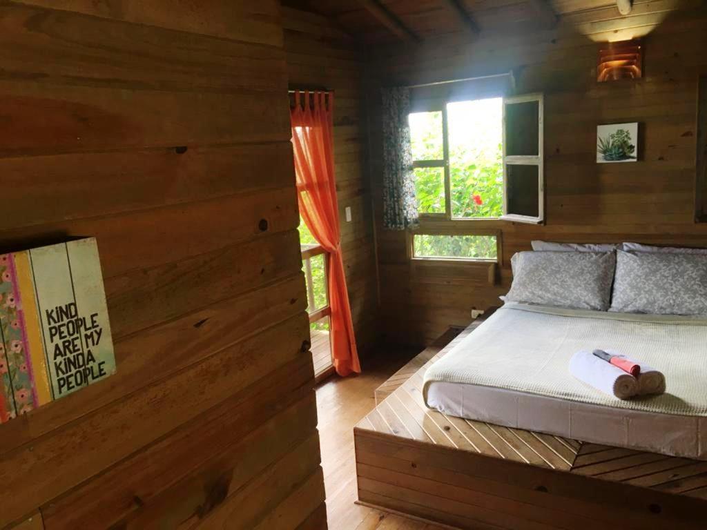 5 bed Commercial For Sale in Delicias, Puntarenas - thumb 21