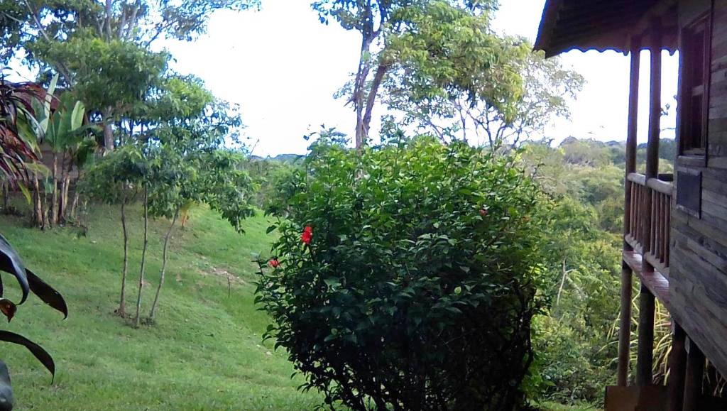 5 bed Commercial For Sale in Delicias, Puntarenas - thumb 12