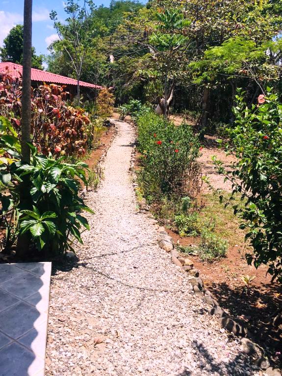 5 bed Commercial For Sale in Delicias, Puntarenas - thumb 14