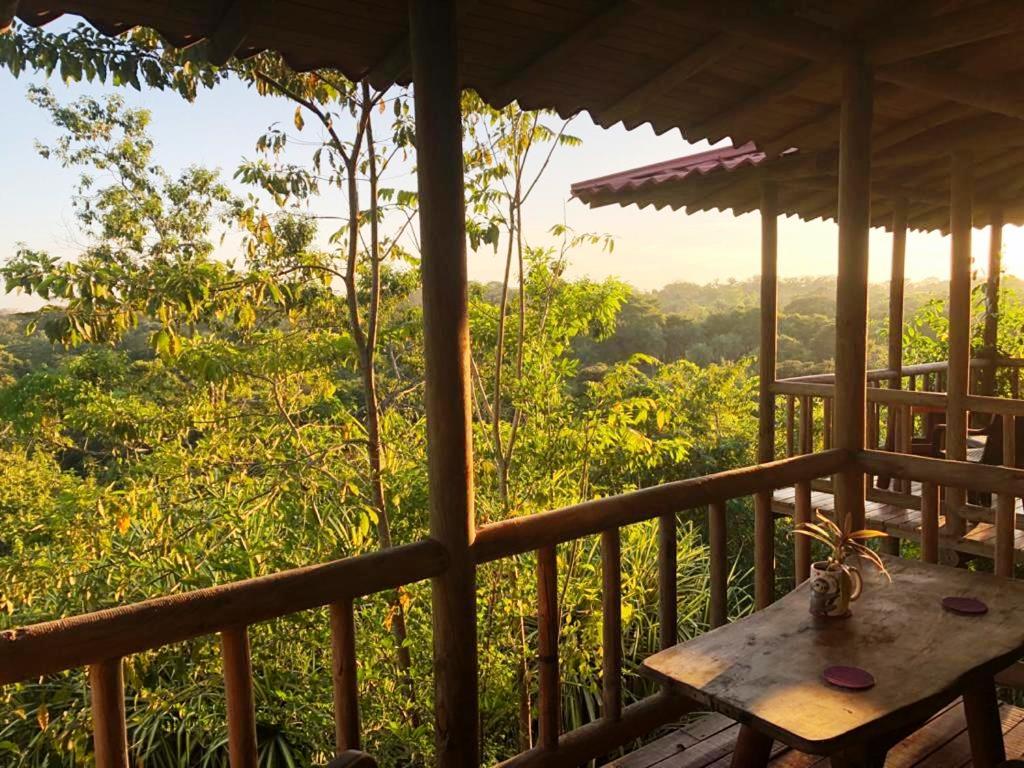 5 bed Commercial For Sale in Delicias, Puntarenas - thumb 2