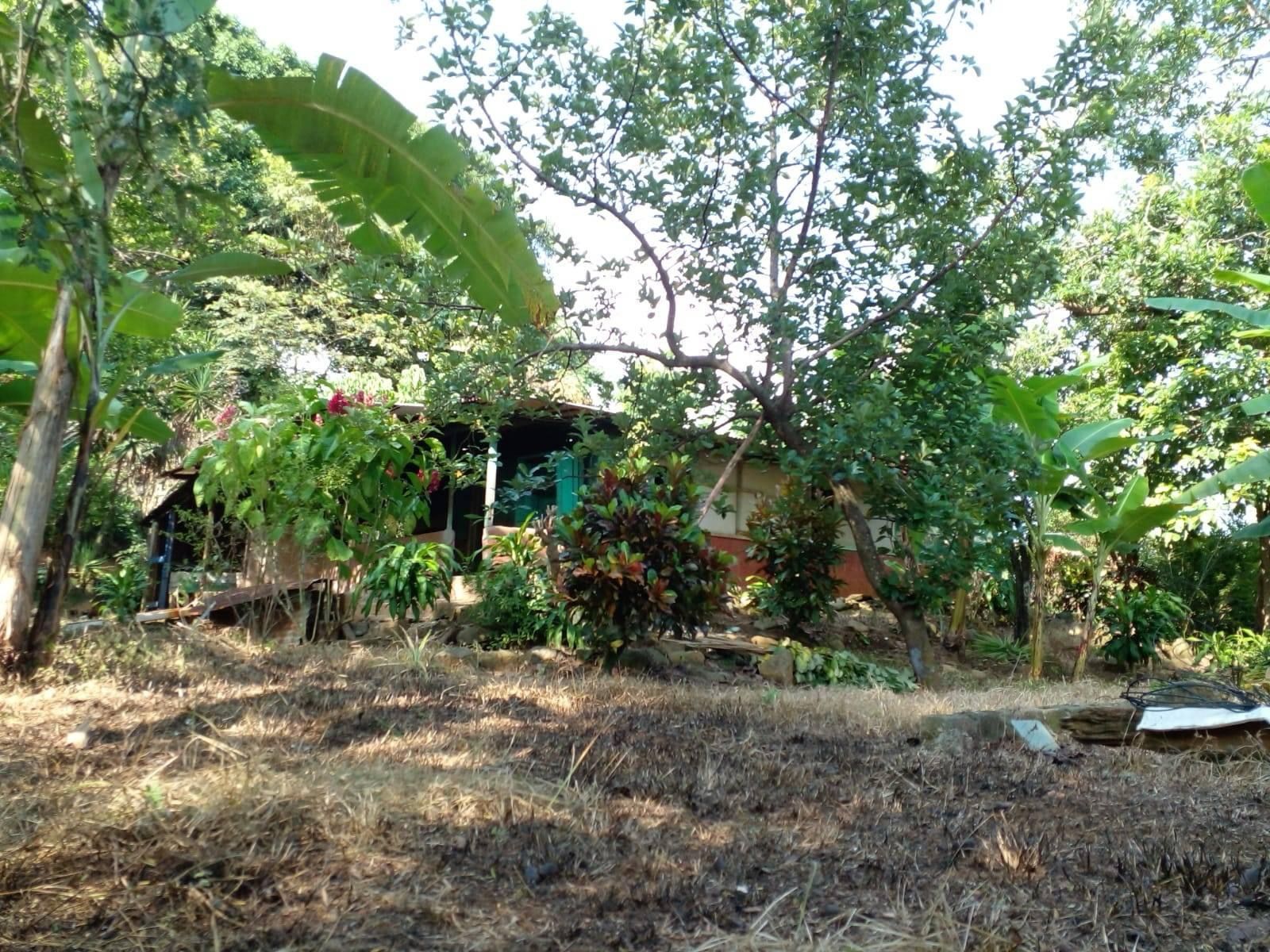 0 bed Land For Sale in Orotina, Alajuela - thumb 5