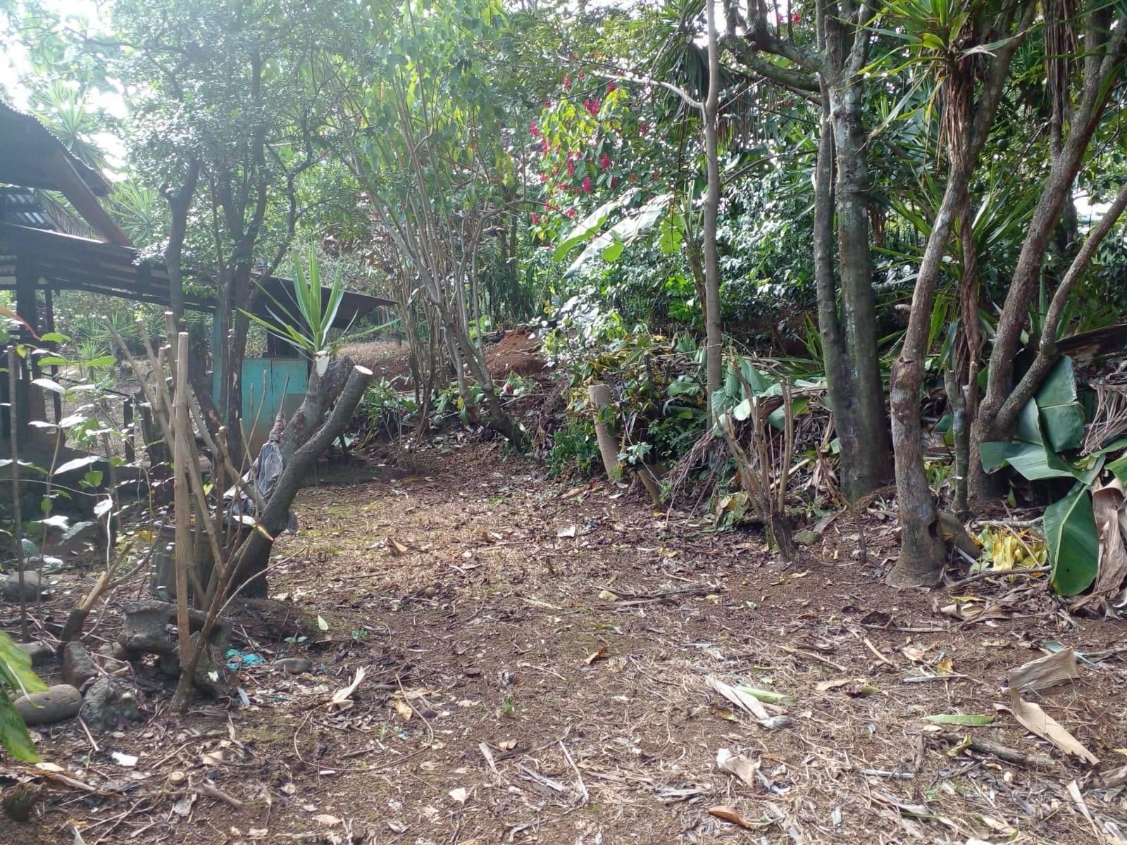 0 bed Land For Sale in Orotina, Alajuela - thumb 7