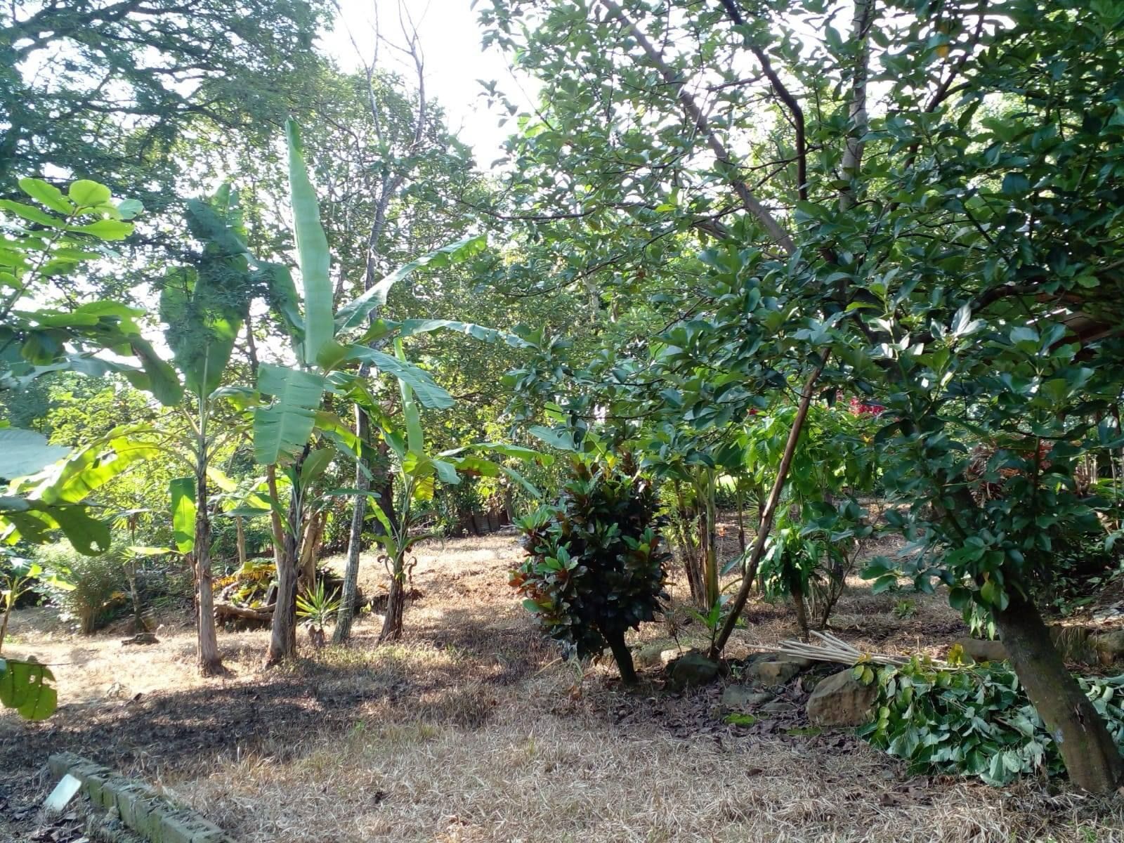 0 bed Land For Sale in Orotina, Alajuela - thumb 8