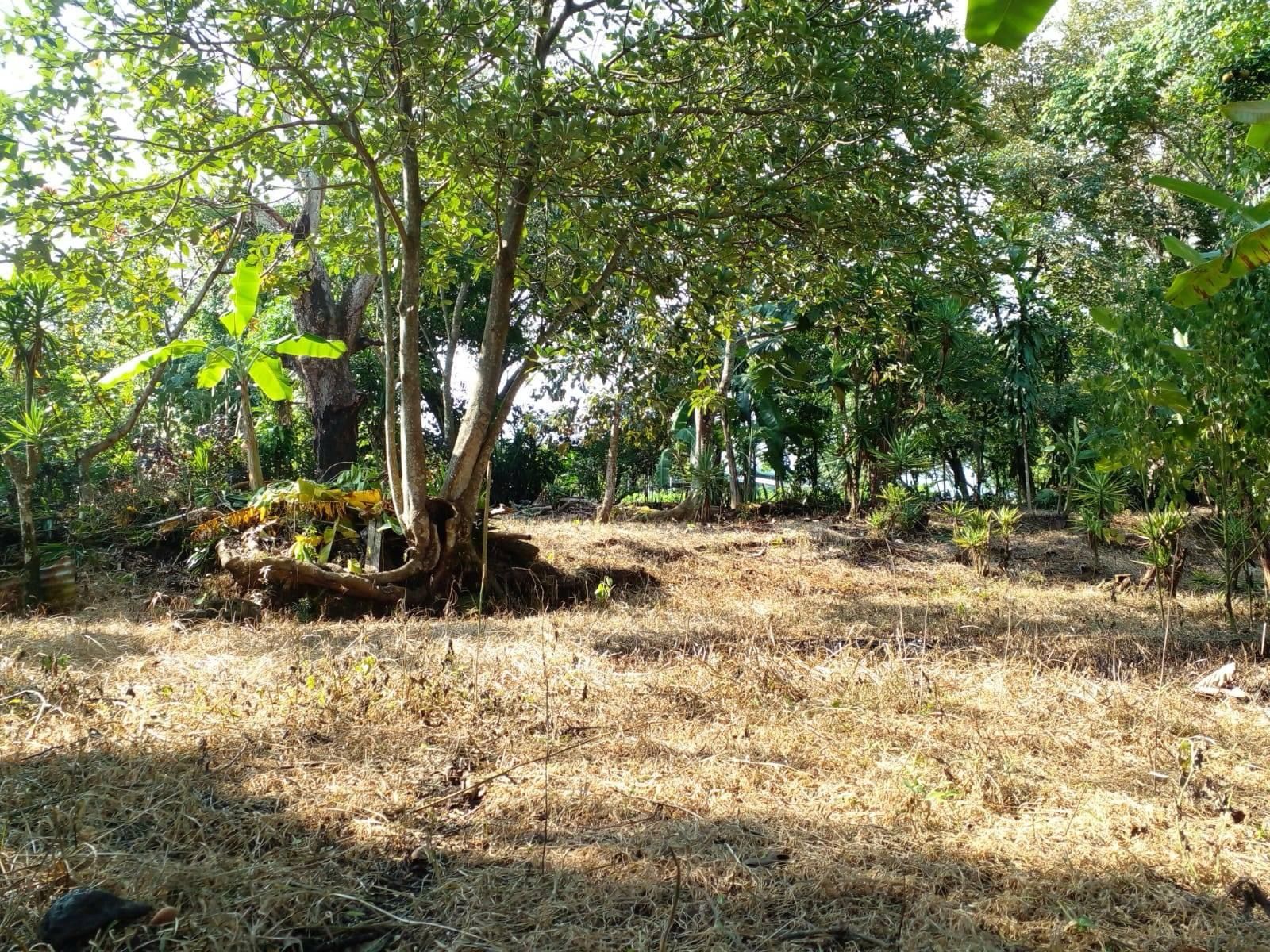 0 bed Land For Sale in Orotina, Alajuela - thumb 4