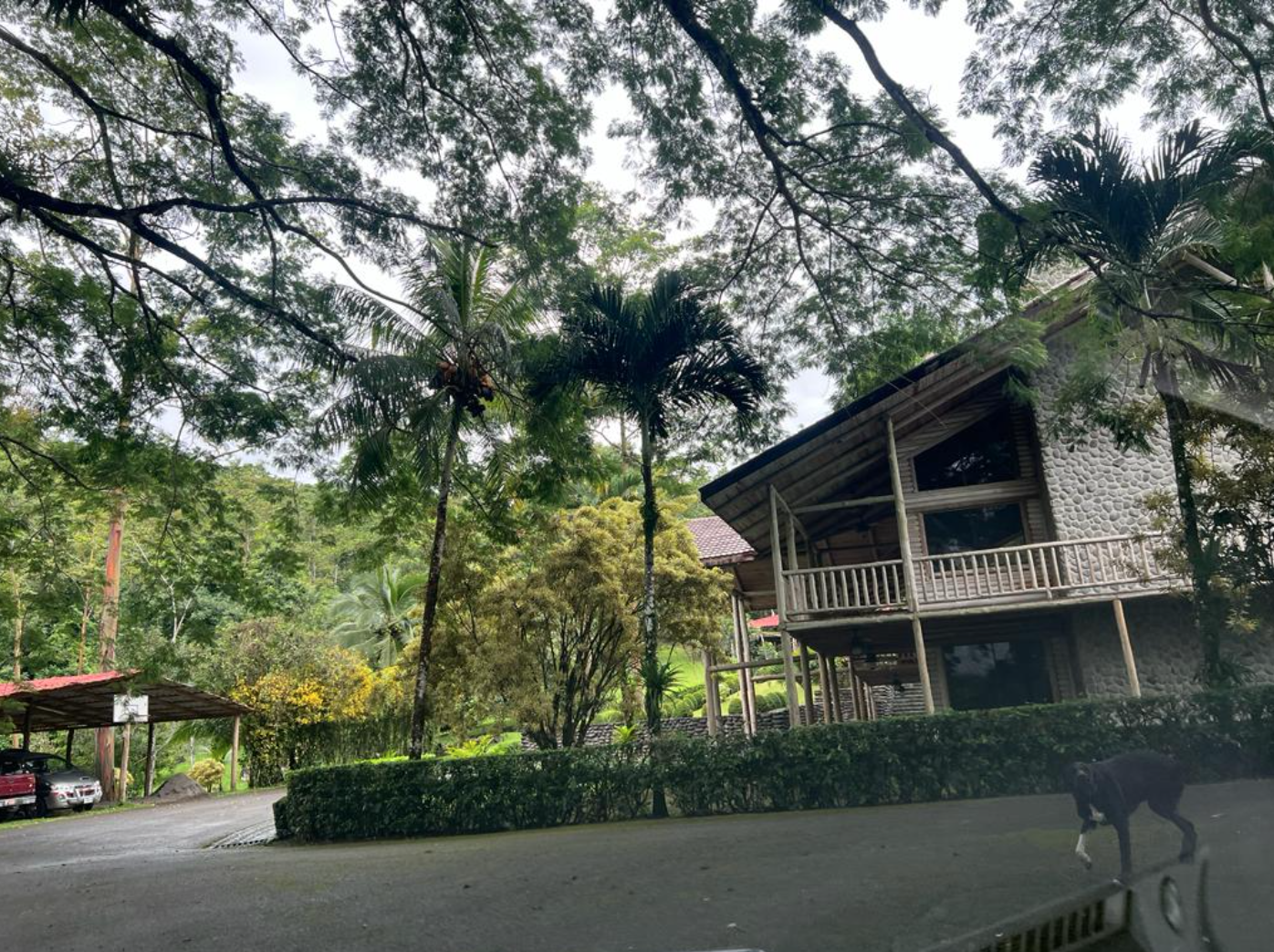 9 bed Single Family Homes For Sale in San Ramon, Alajuela - thumb 30