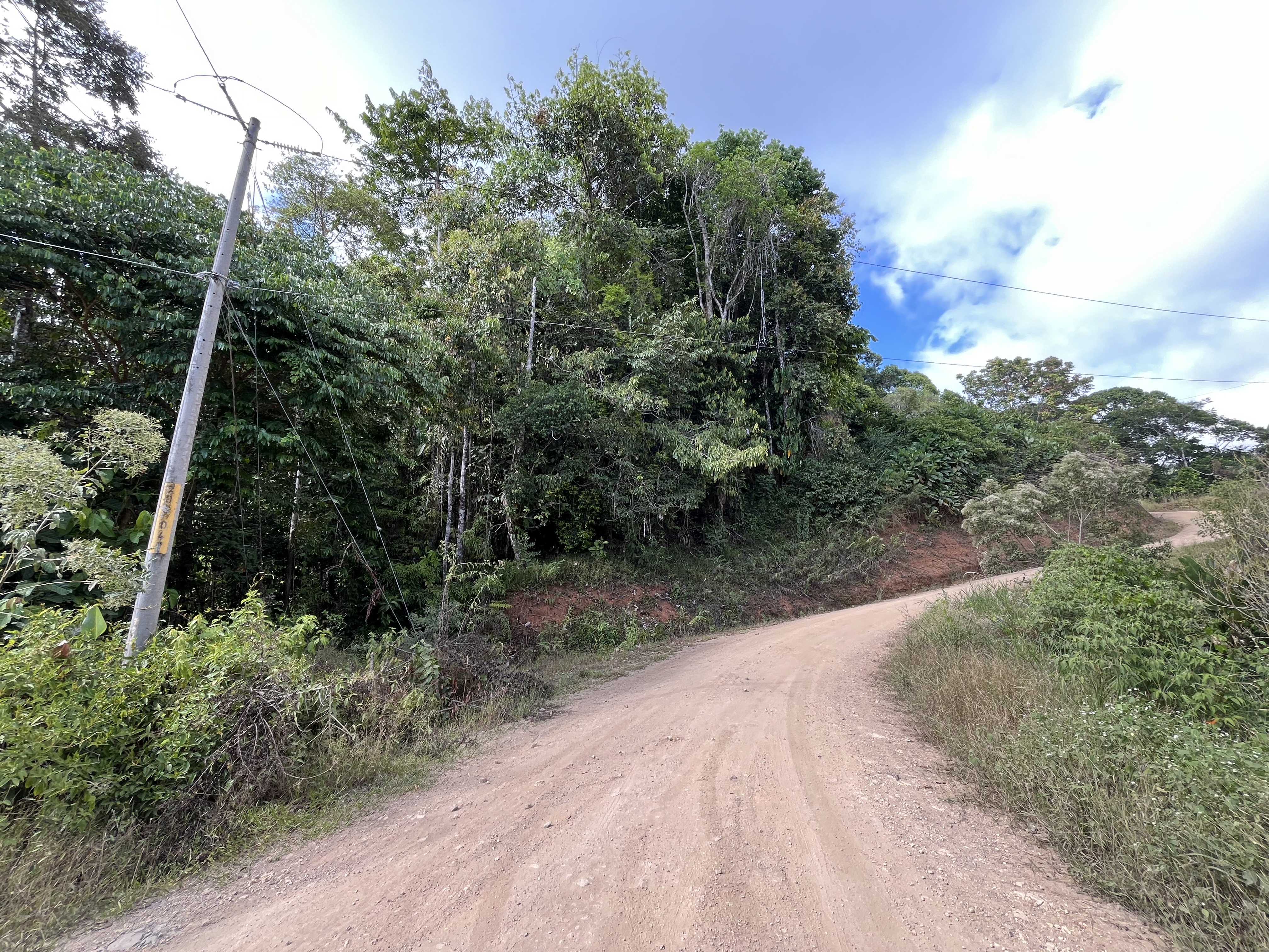 0 bed Land For Sale in Ojochal, Puntarenas - thumb 11