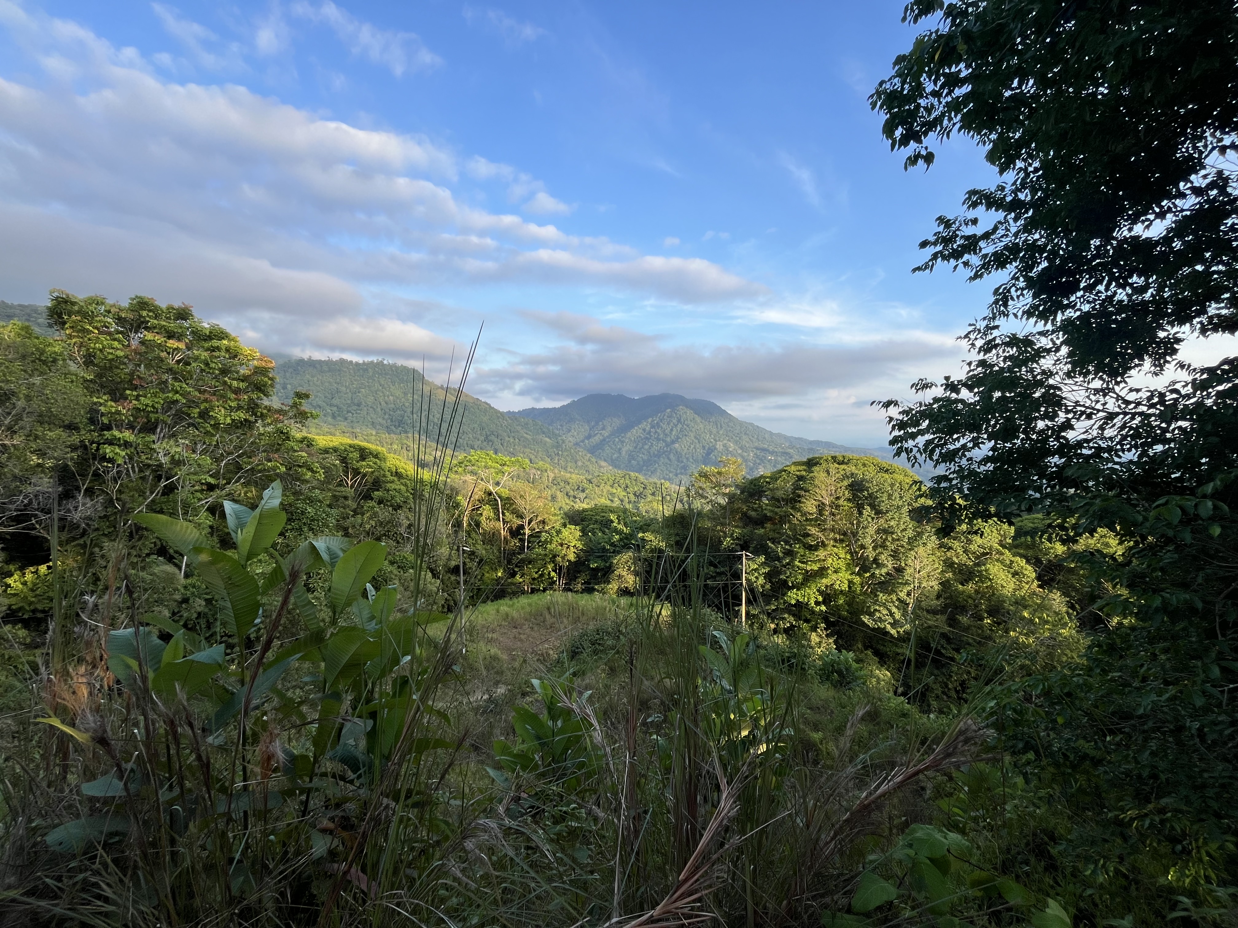 0 bed Land For Sale in Ojochal, Puntarenas - thumb 8