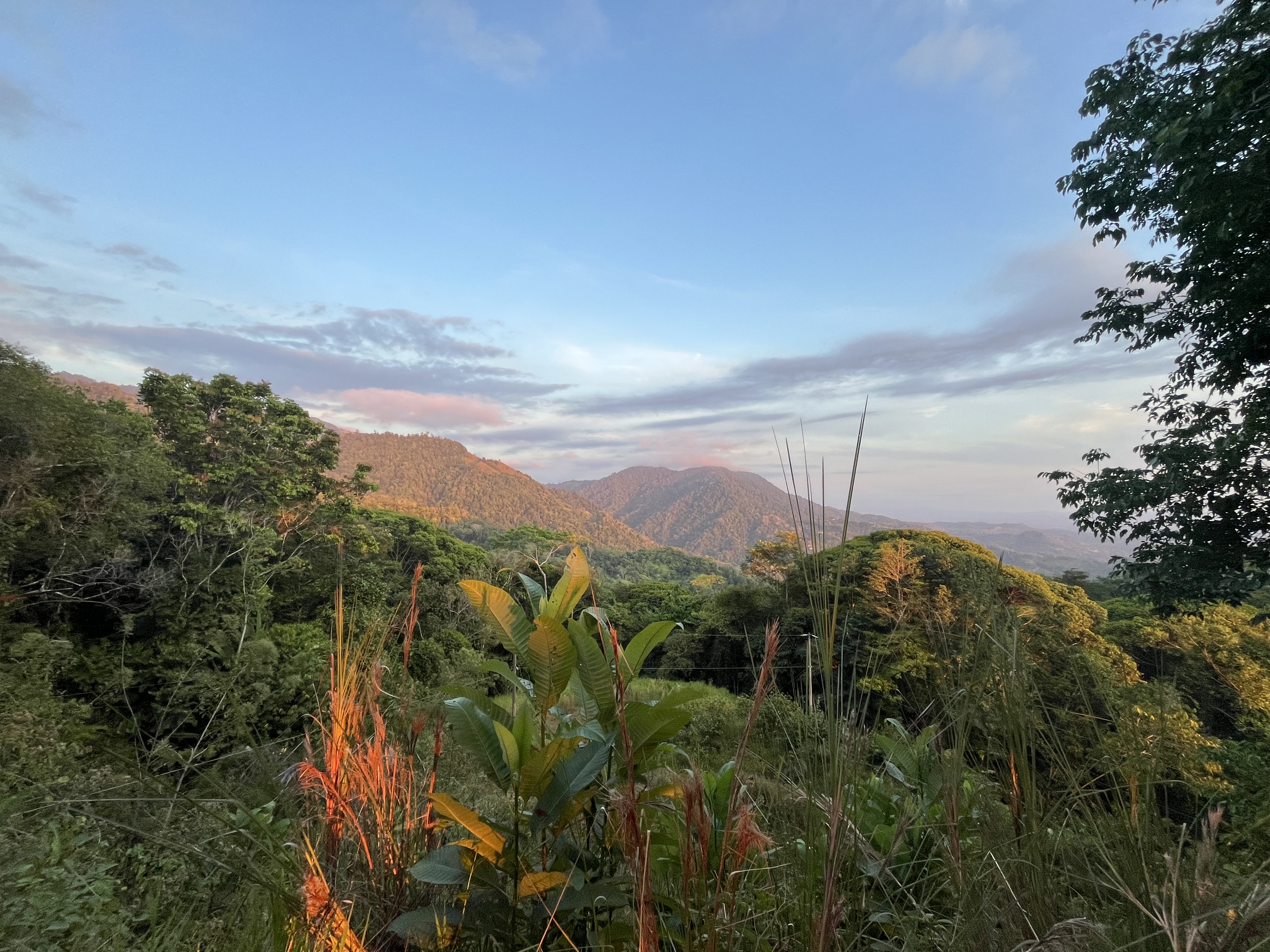 0 bed Land For Sale in Ojochal, Puntarenas - thumb 10