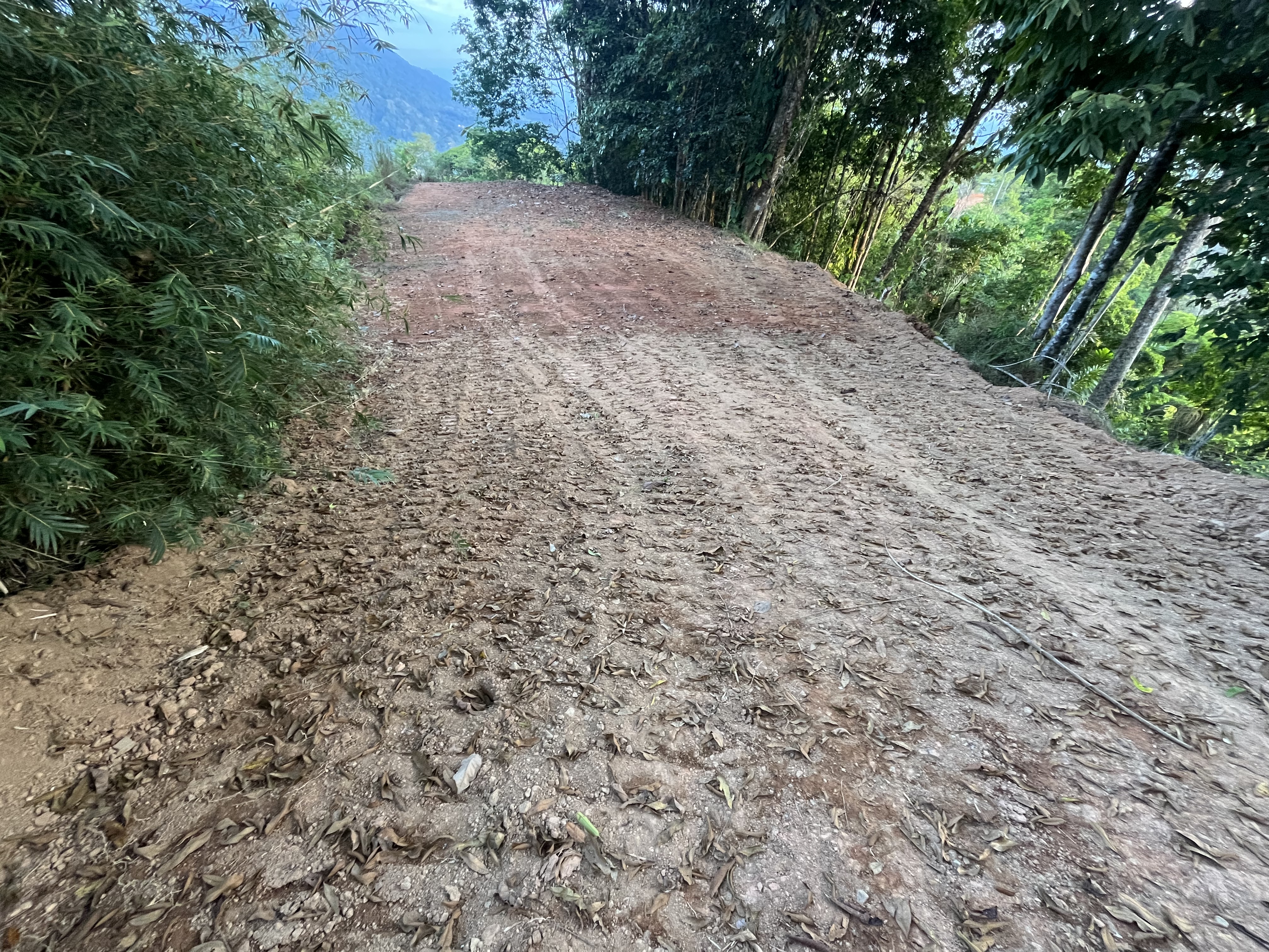 0 bed Land For Sale in Ojochal, Puntarenas - thumb 16