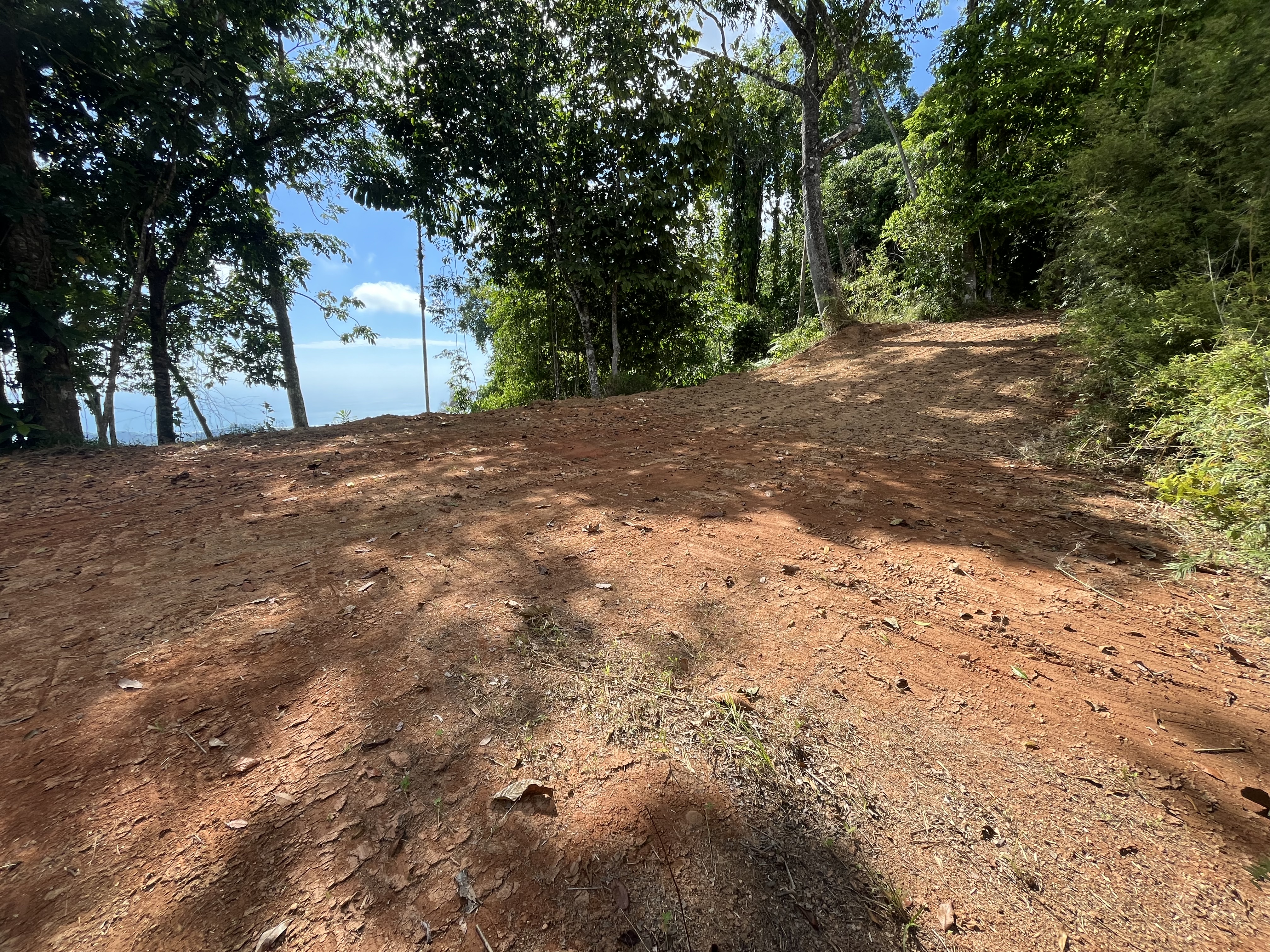 0 bed Land For Sale in Ojochal, Puntarenas - thumb 13