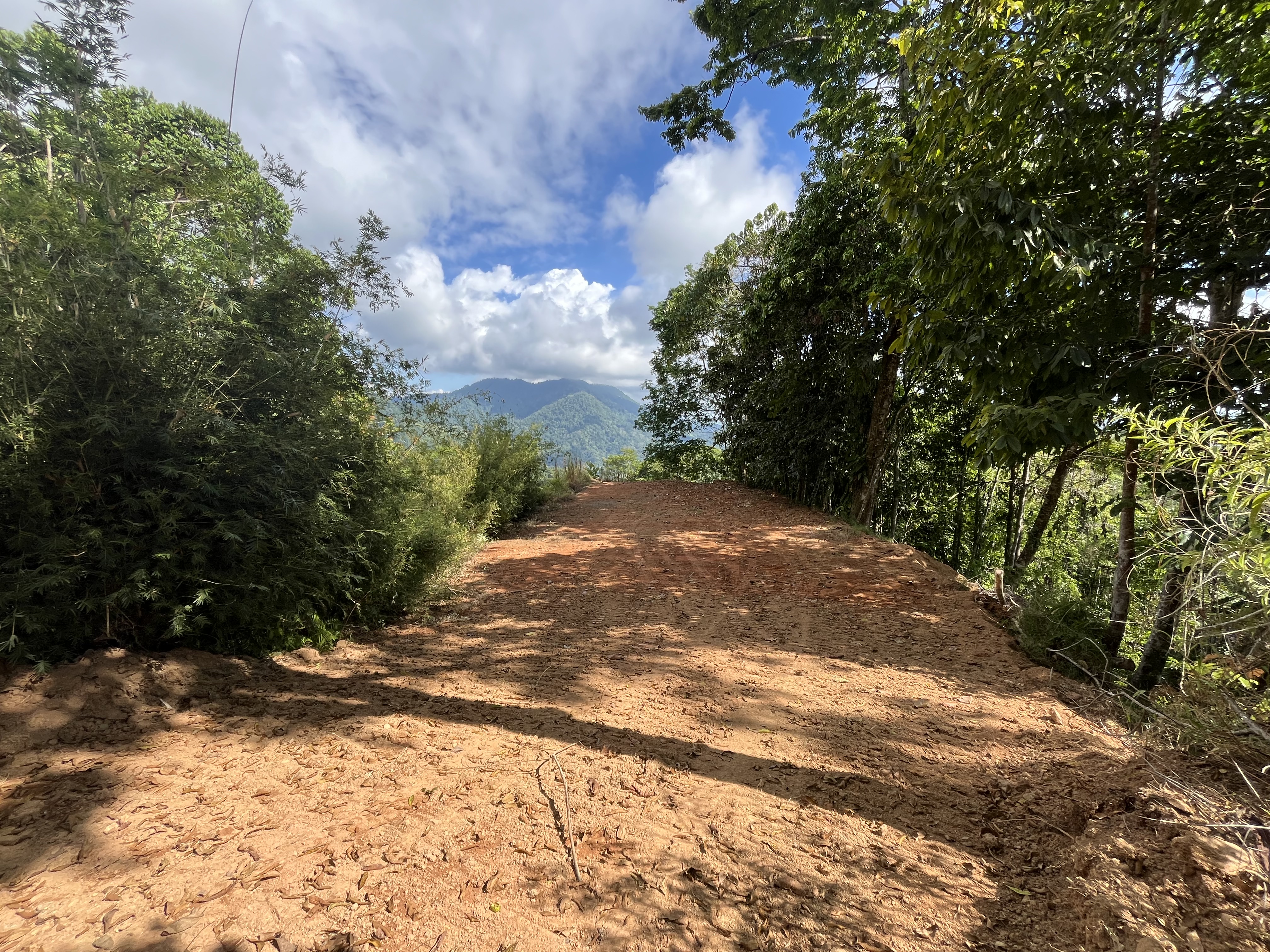 0 bed Land For Sale in Ojochal, Puntarenas - thumb 14