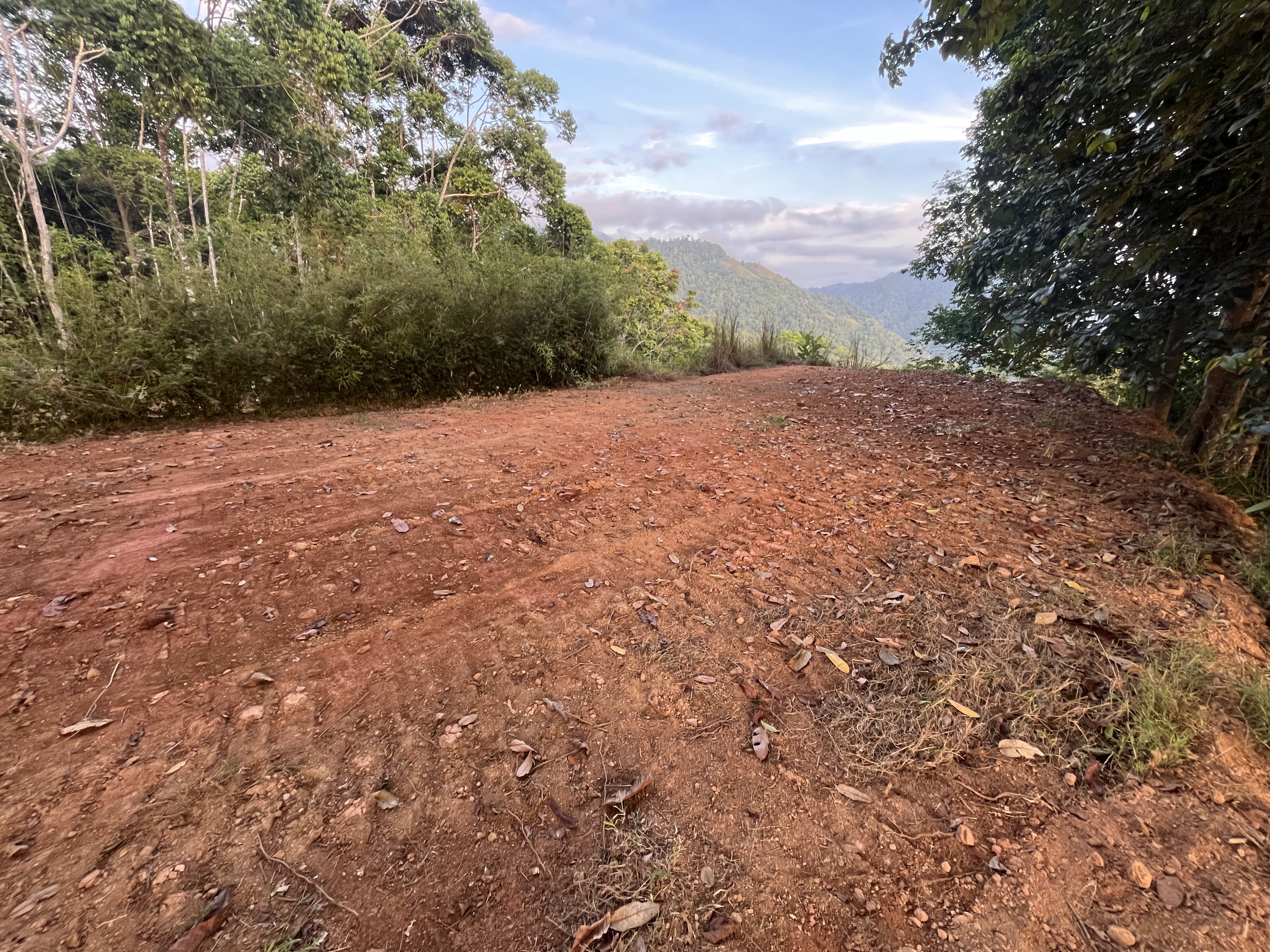 0 bed Land For Sale in Ojochal, Puntarenas - thumb 17