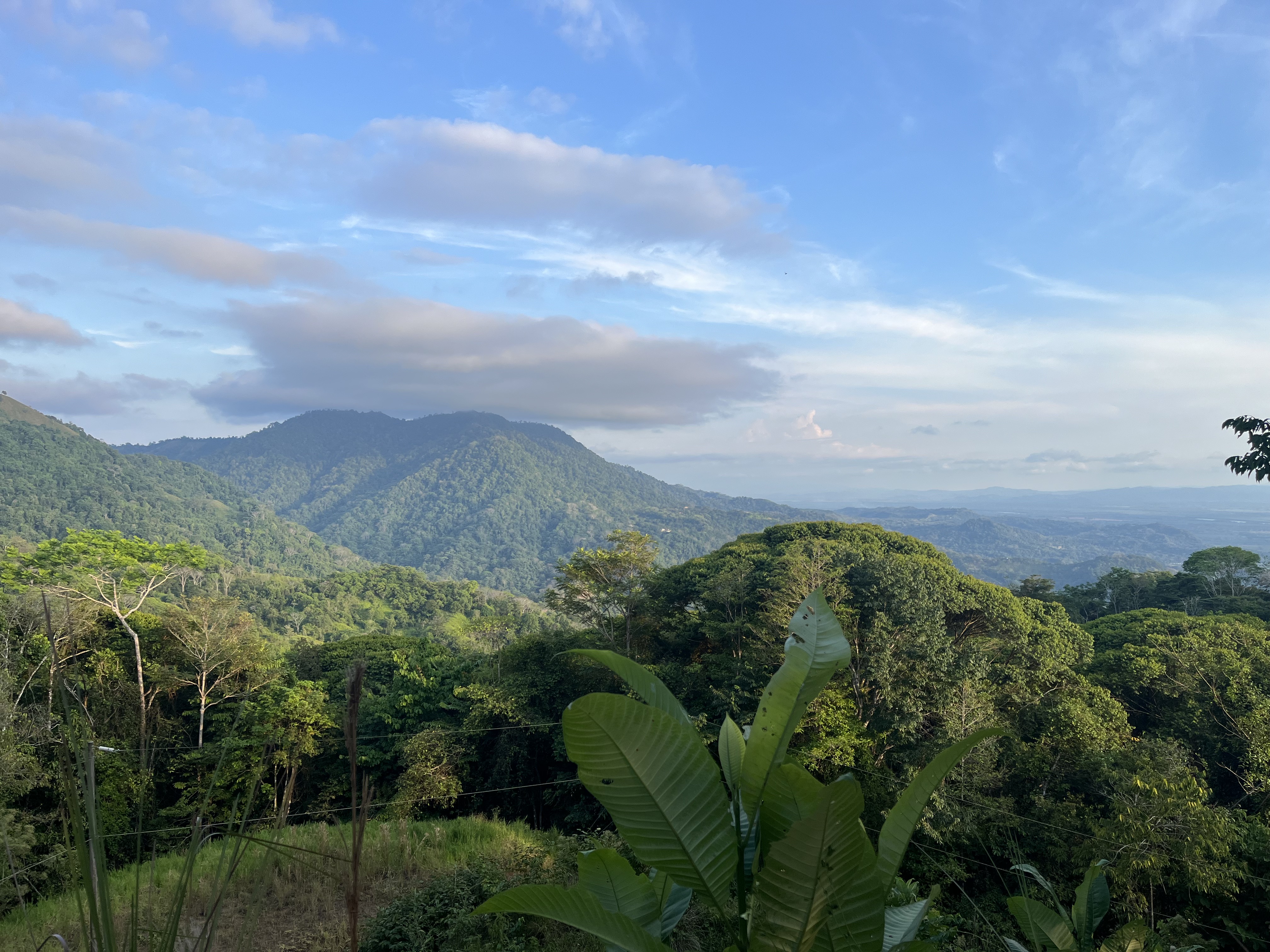 0 bed Land For Sale in Ojochal, Puntarenas - thumb 7