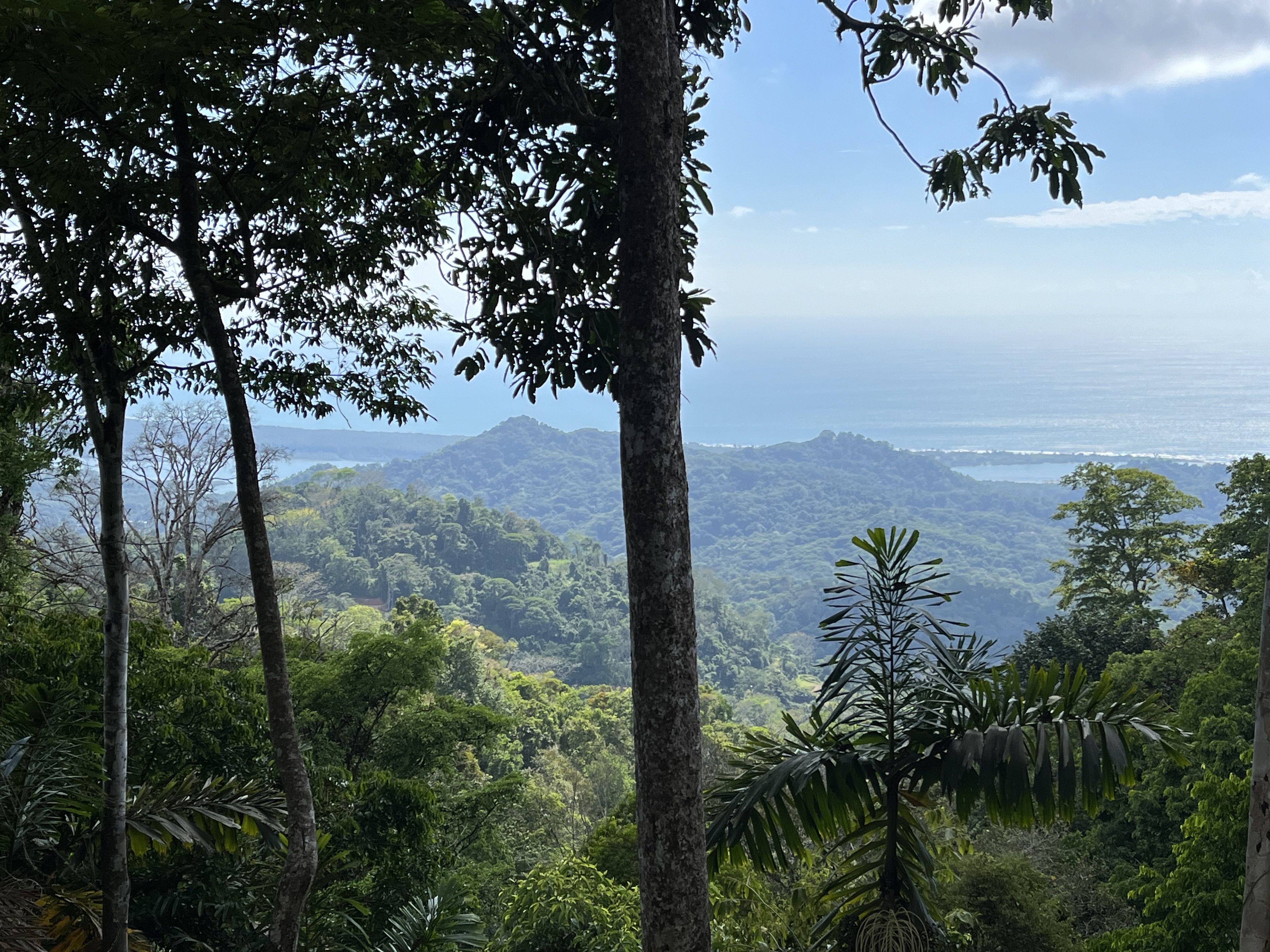 0 bed Land For Sale in Ojochal, Puntarenas - thumb 5