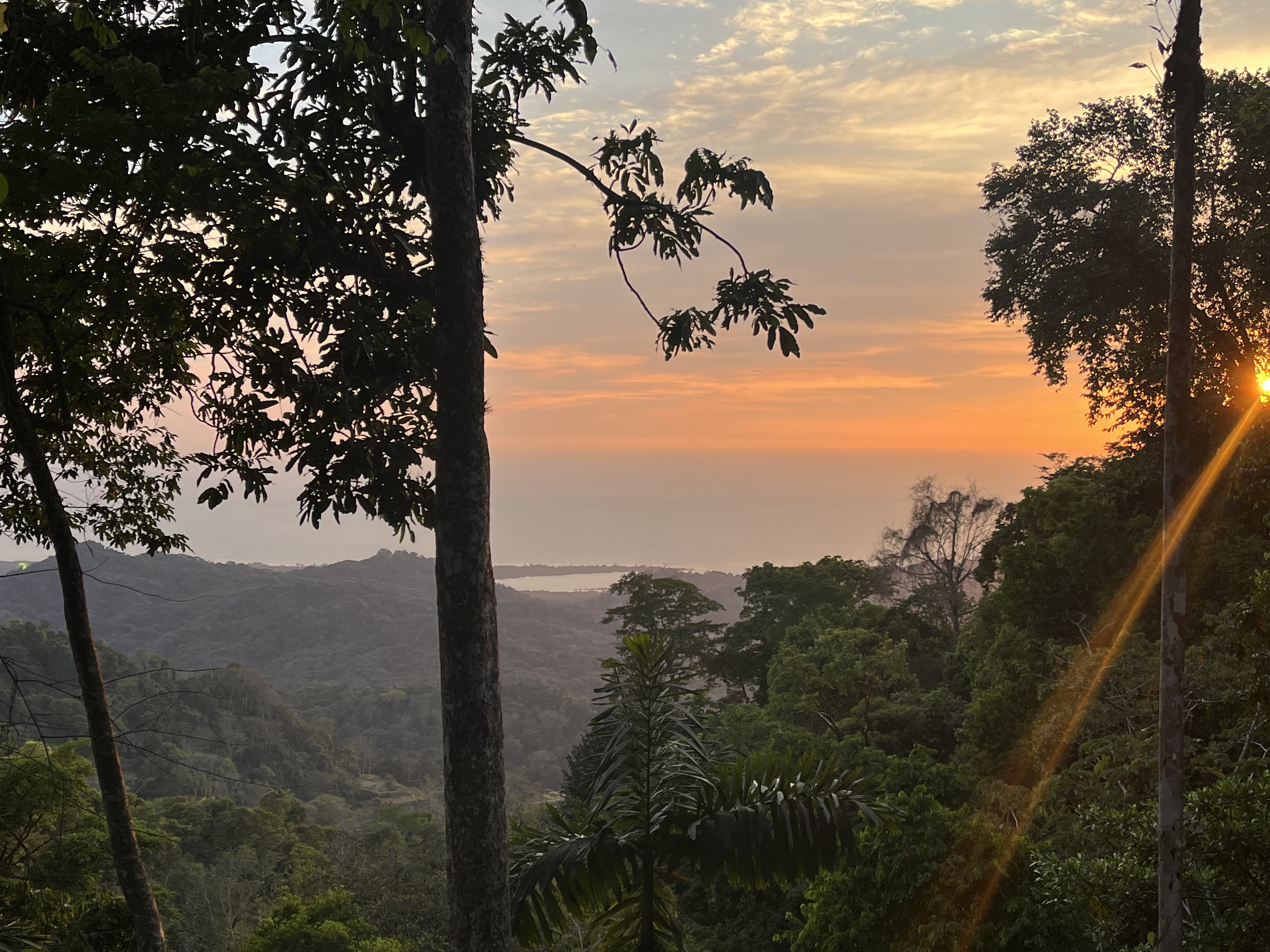 0 bed Land For Sale in Ojochal, Puntarenas - thumb 2