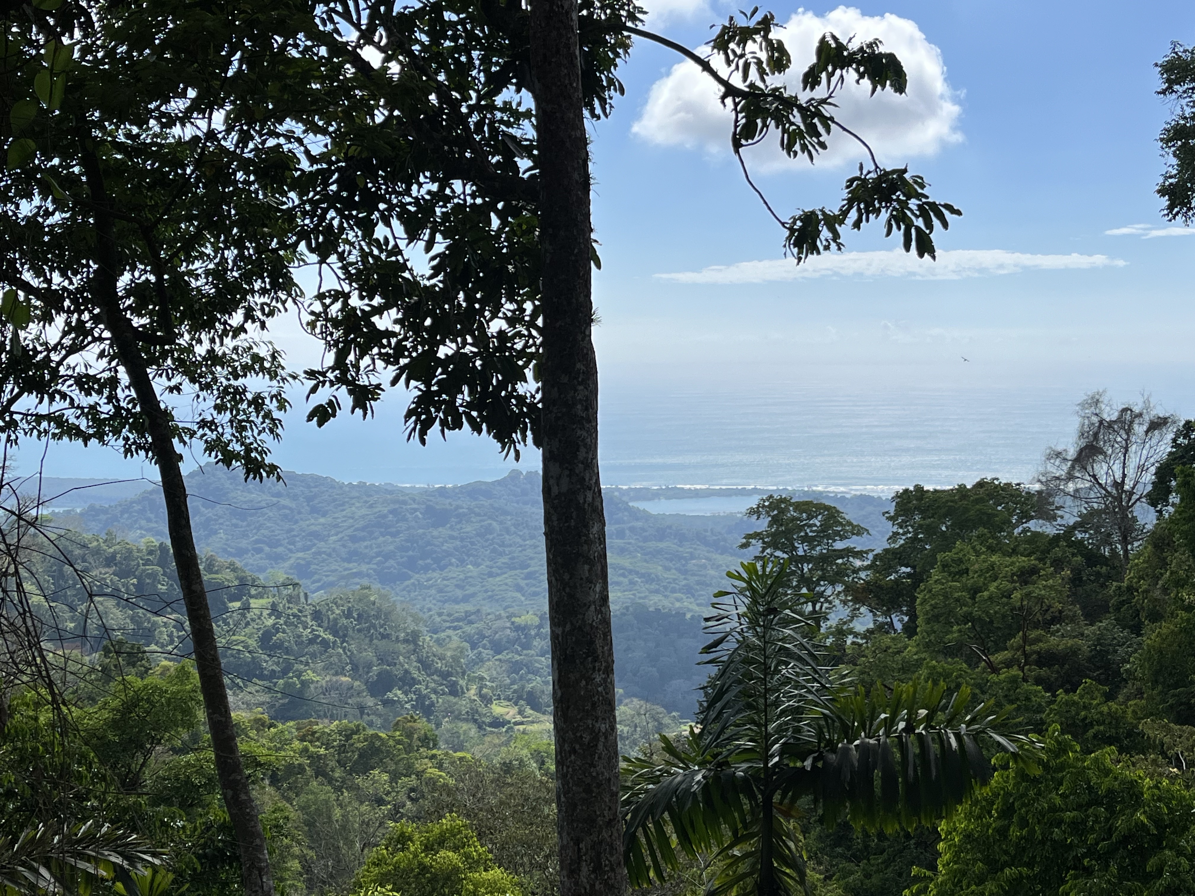 0 bed Land For Sale in Ojochal, Puntarenas - thumb 4