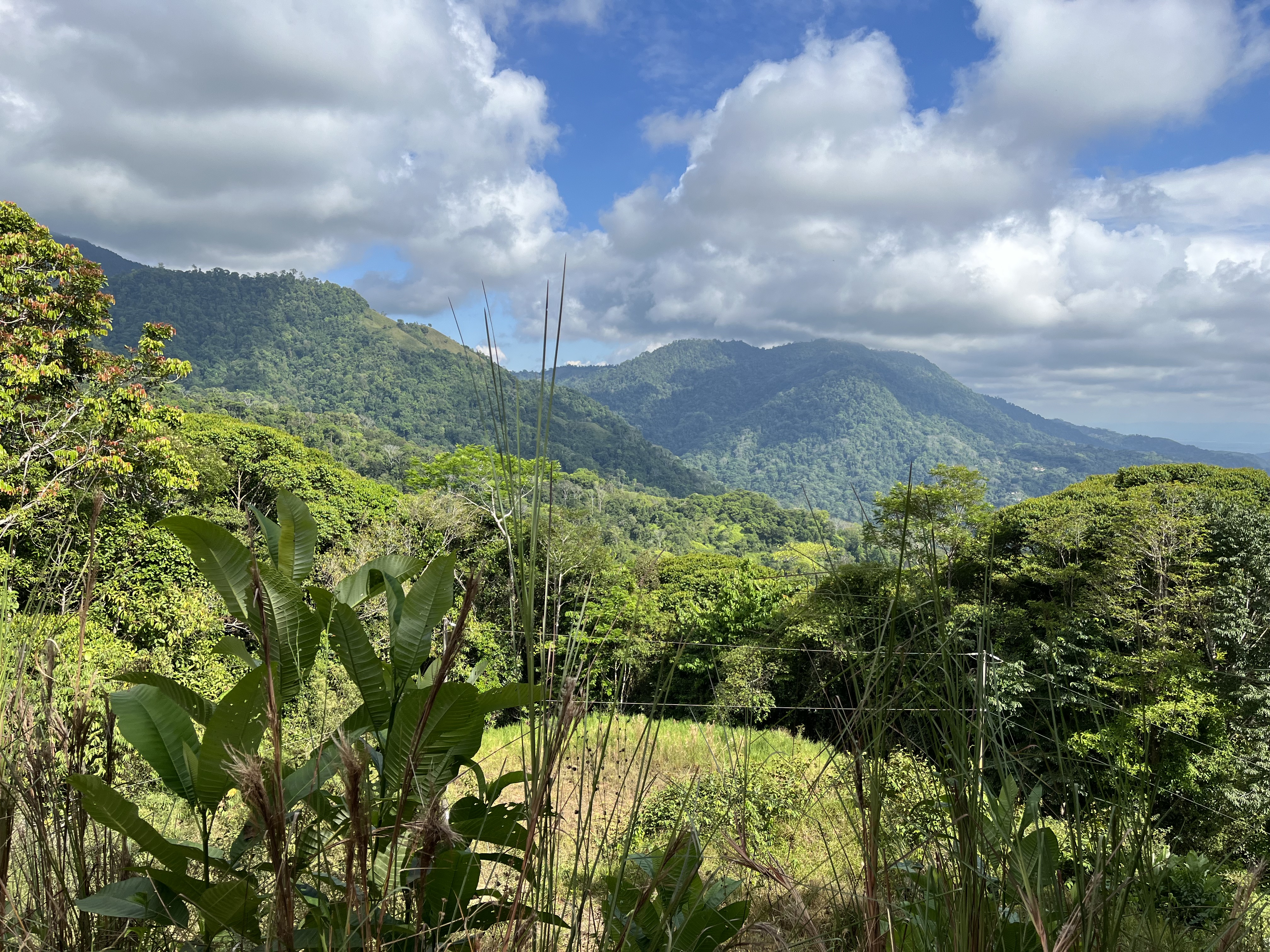 0 bed Land For Sale in Ojochal, Puntarenas - thumb 9