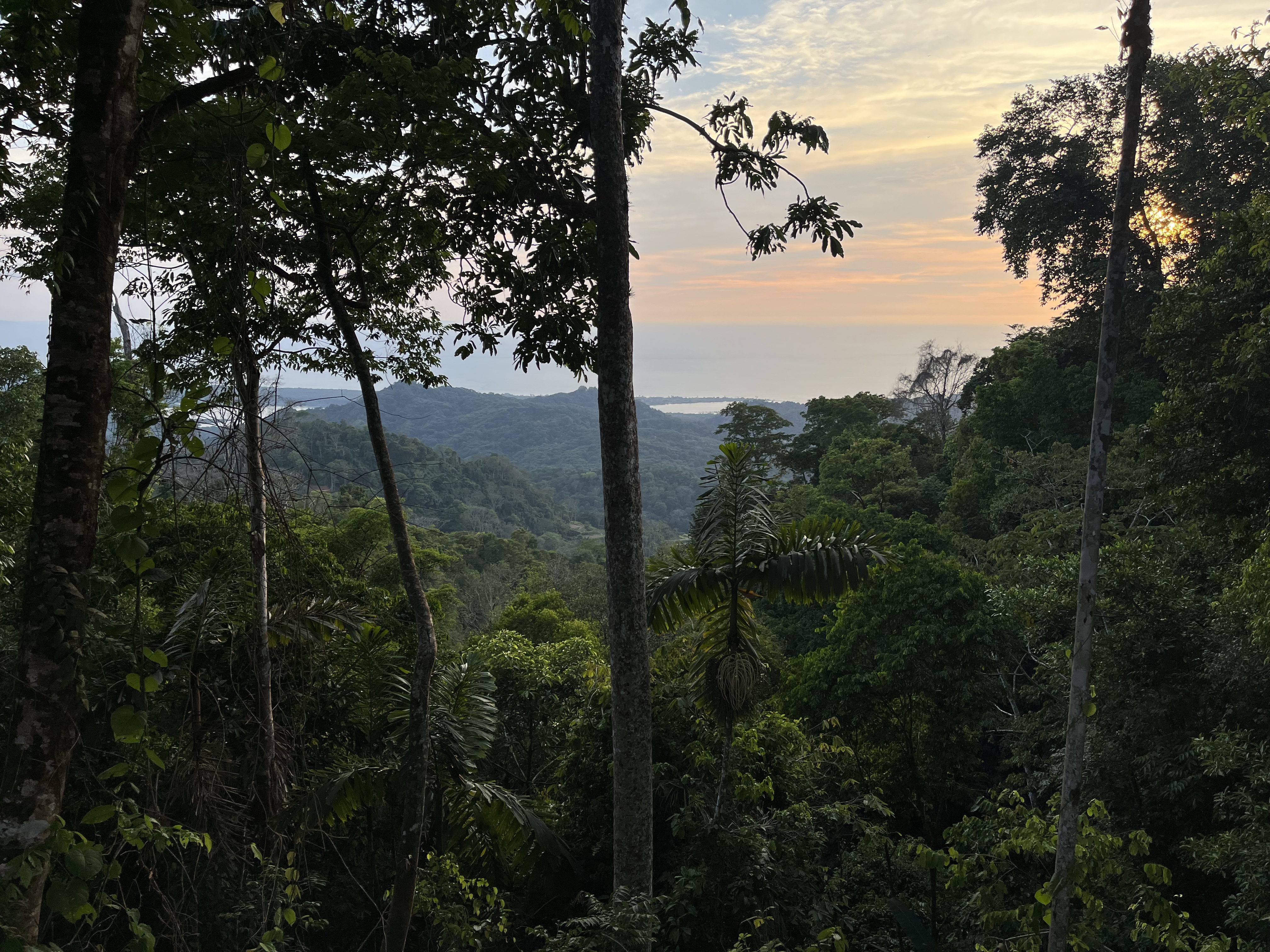 0 bed Land For Sale in Ojochal, Puntarenas - thumb 3