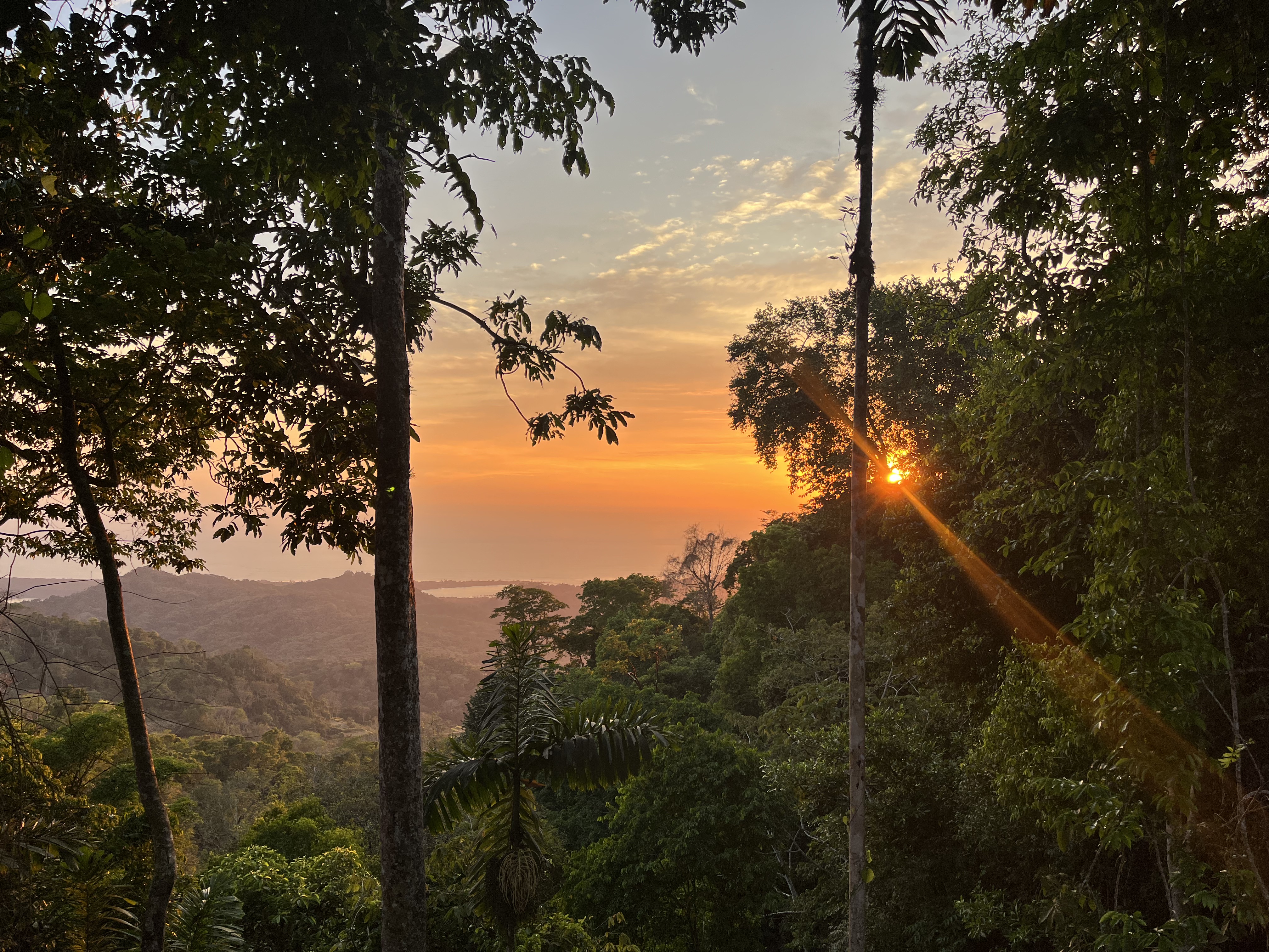 0 bed Land For Sale in Ojochal, Puntarenas - thumb 1